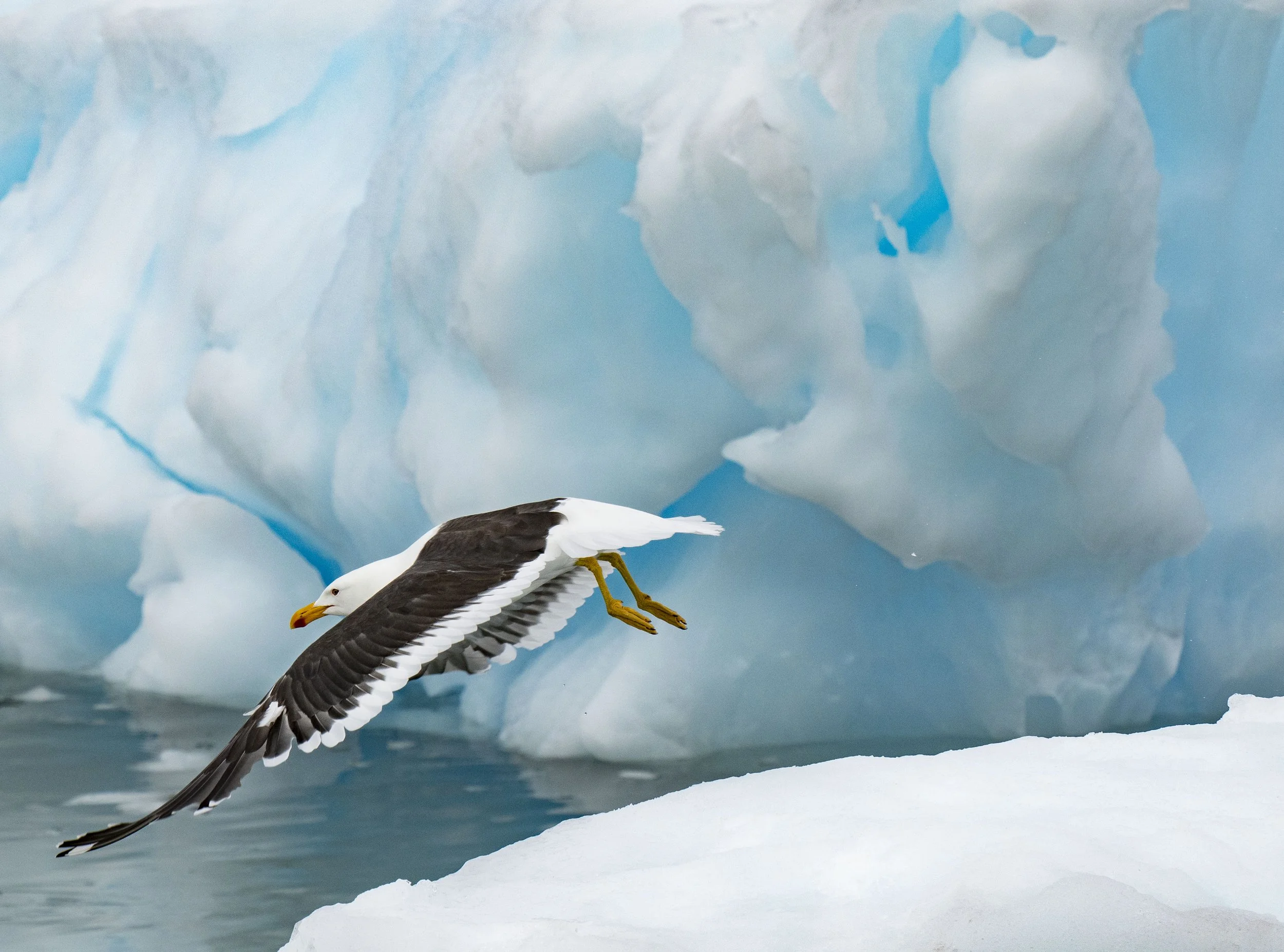 20260115 JP Day 7   0797.jpg