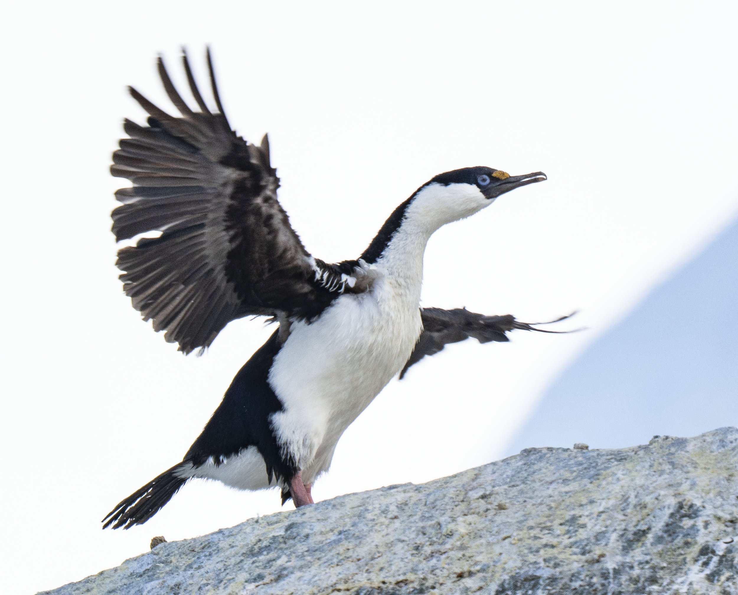 20260115 JP Day 7   0990.jpg