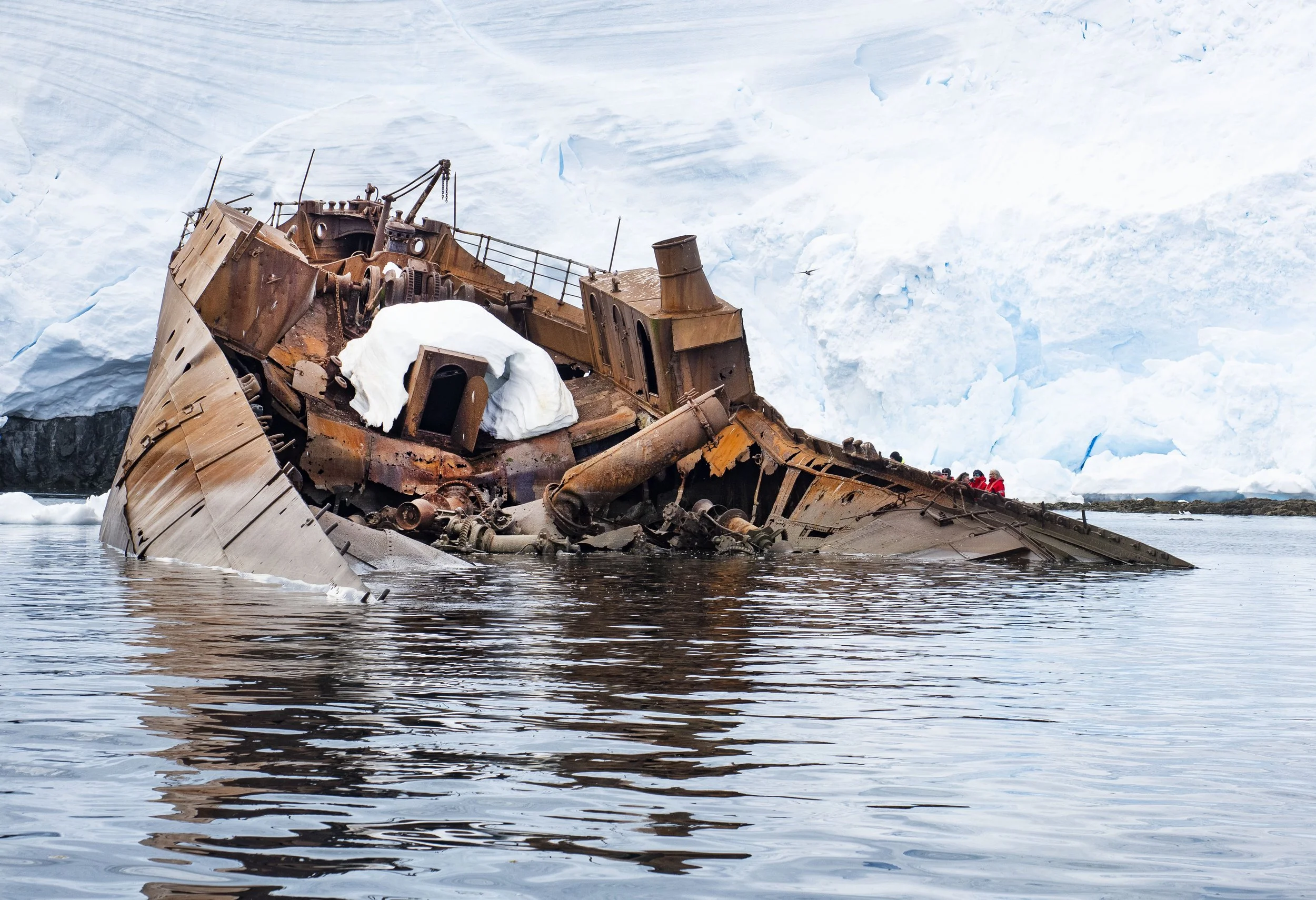 20260115 JP Day 7   1020.jpg