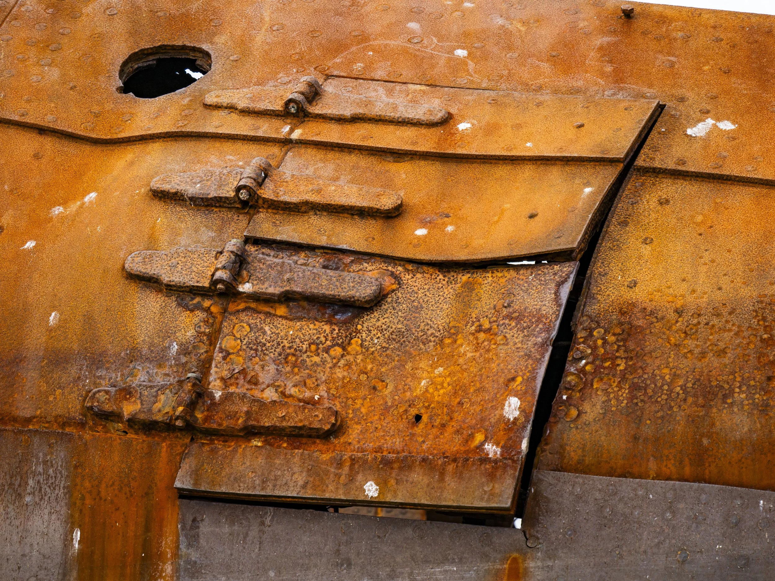 20260115 JP Day 7   1027.jpg