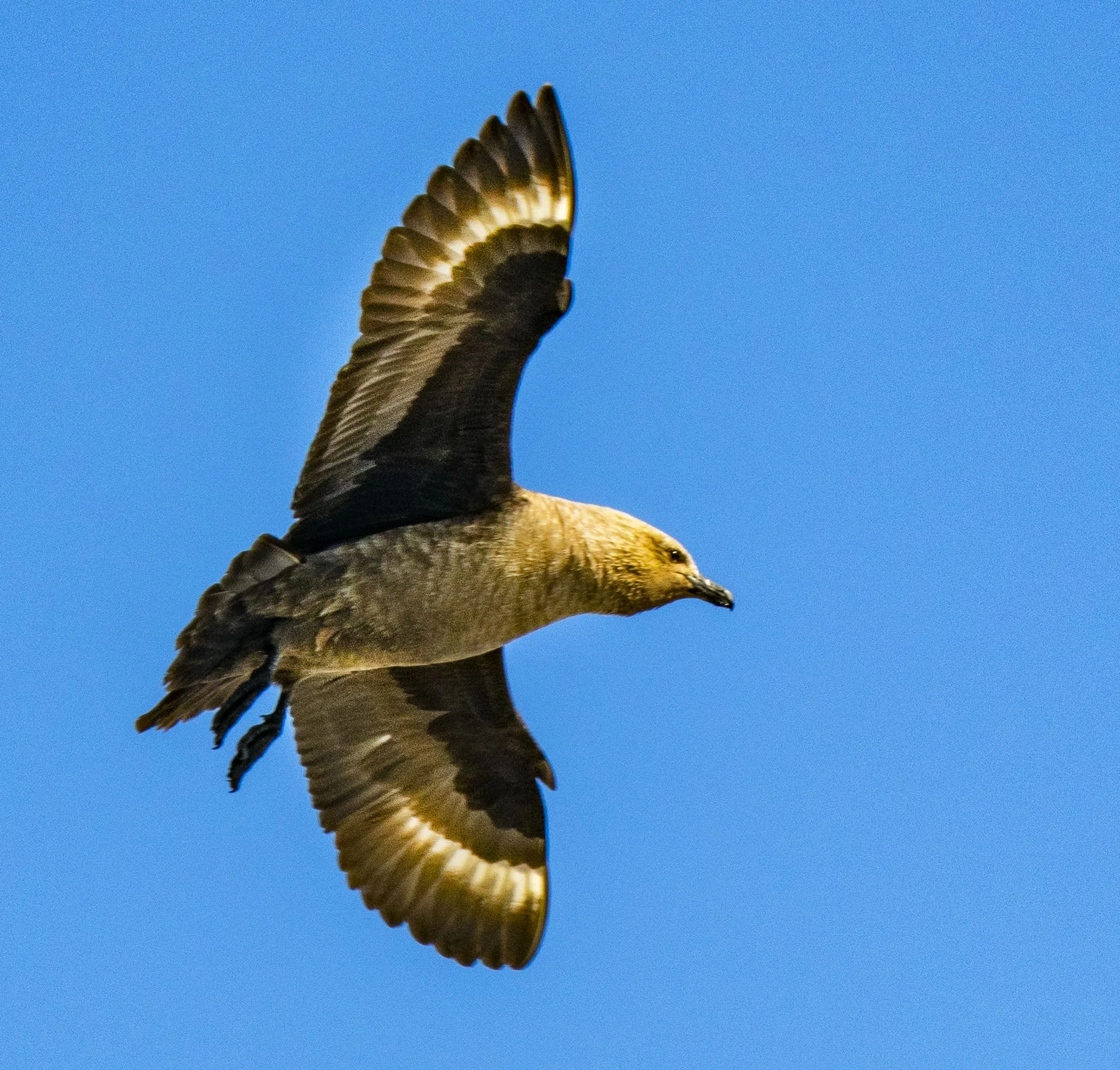 20260115 JP Day 7   1179.jpg