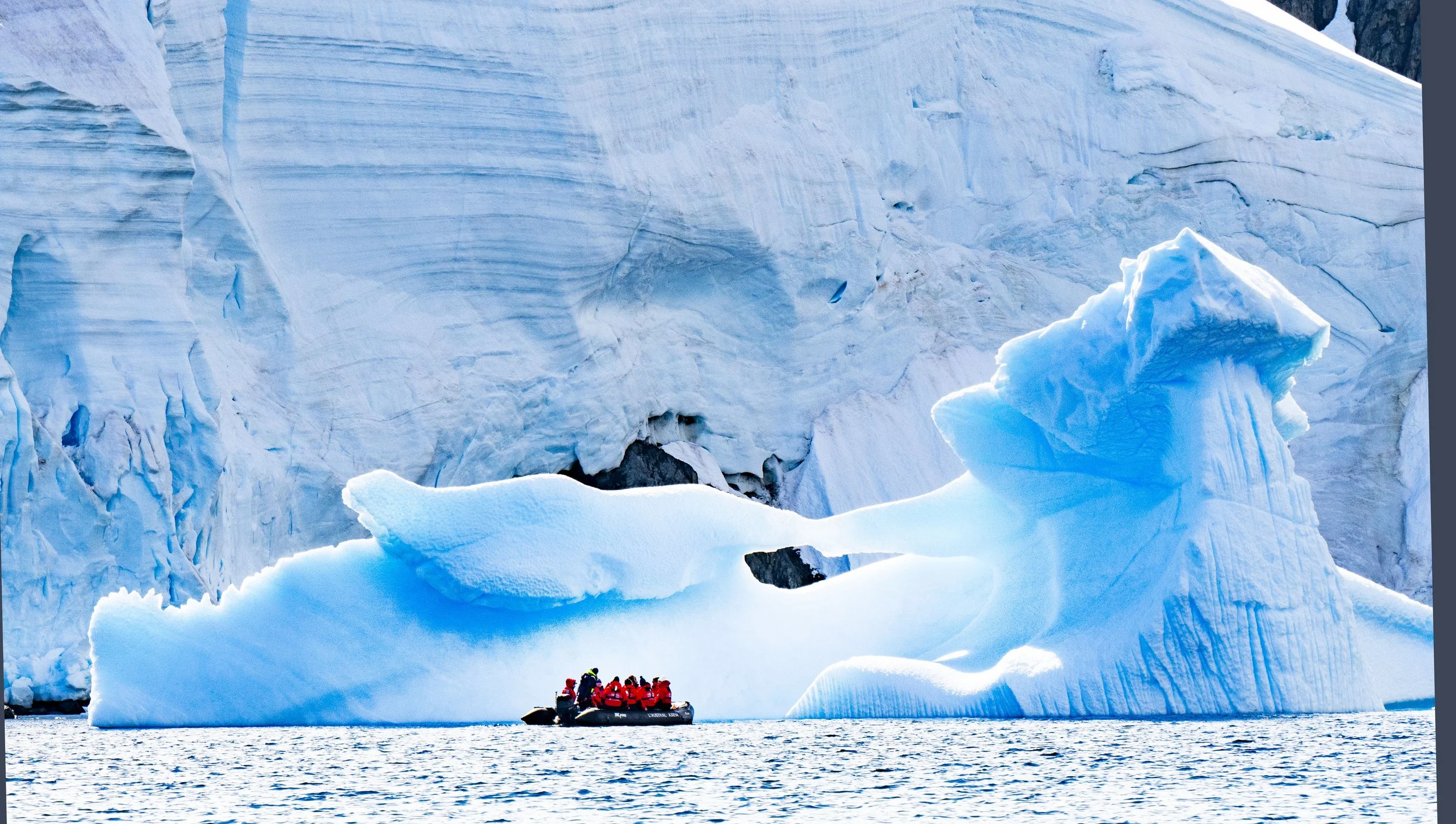 20260115 JP Day 7   1203.jpg