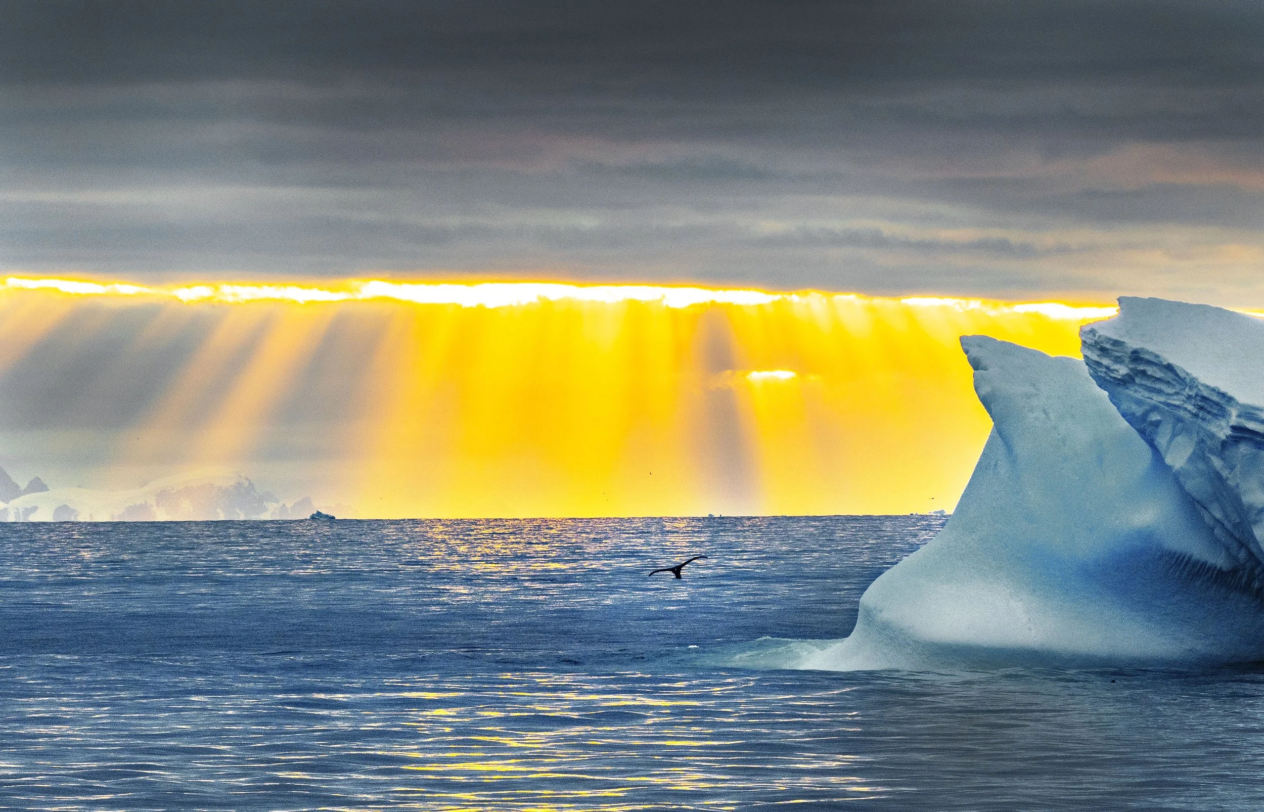 20260115 JP Day 7   1367A.jpg