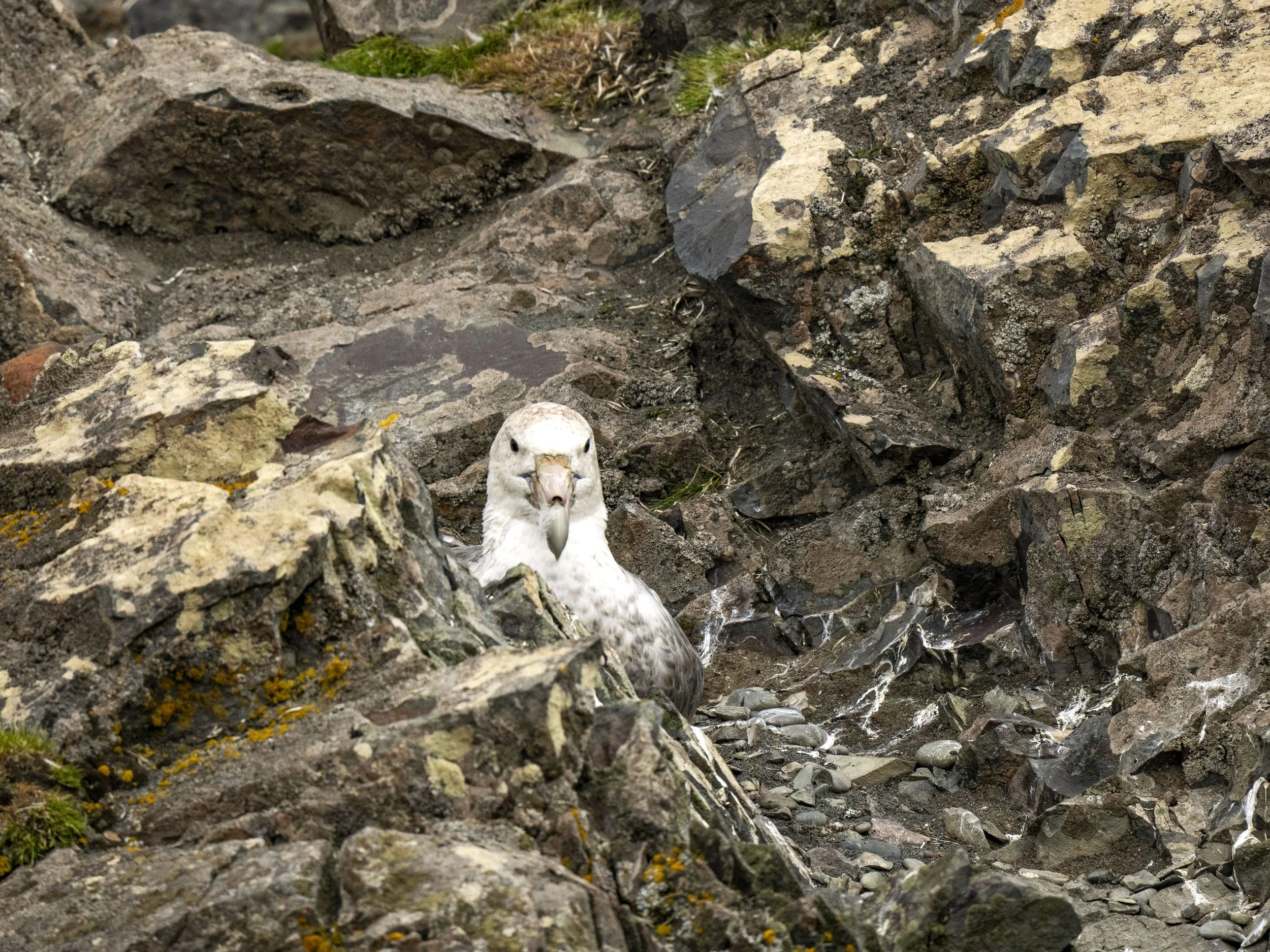 20260116 JP Day 8   0315.jpg