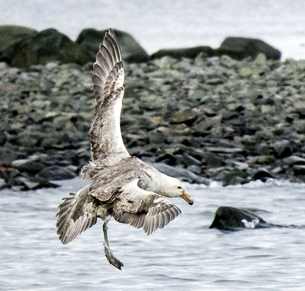 20260116 JP Day 8   0384.jpg