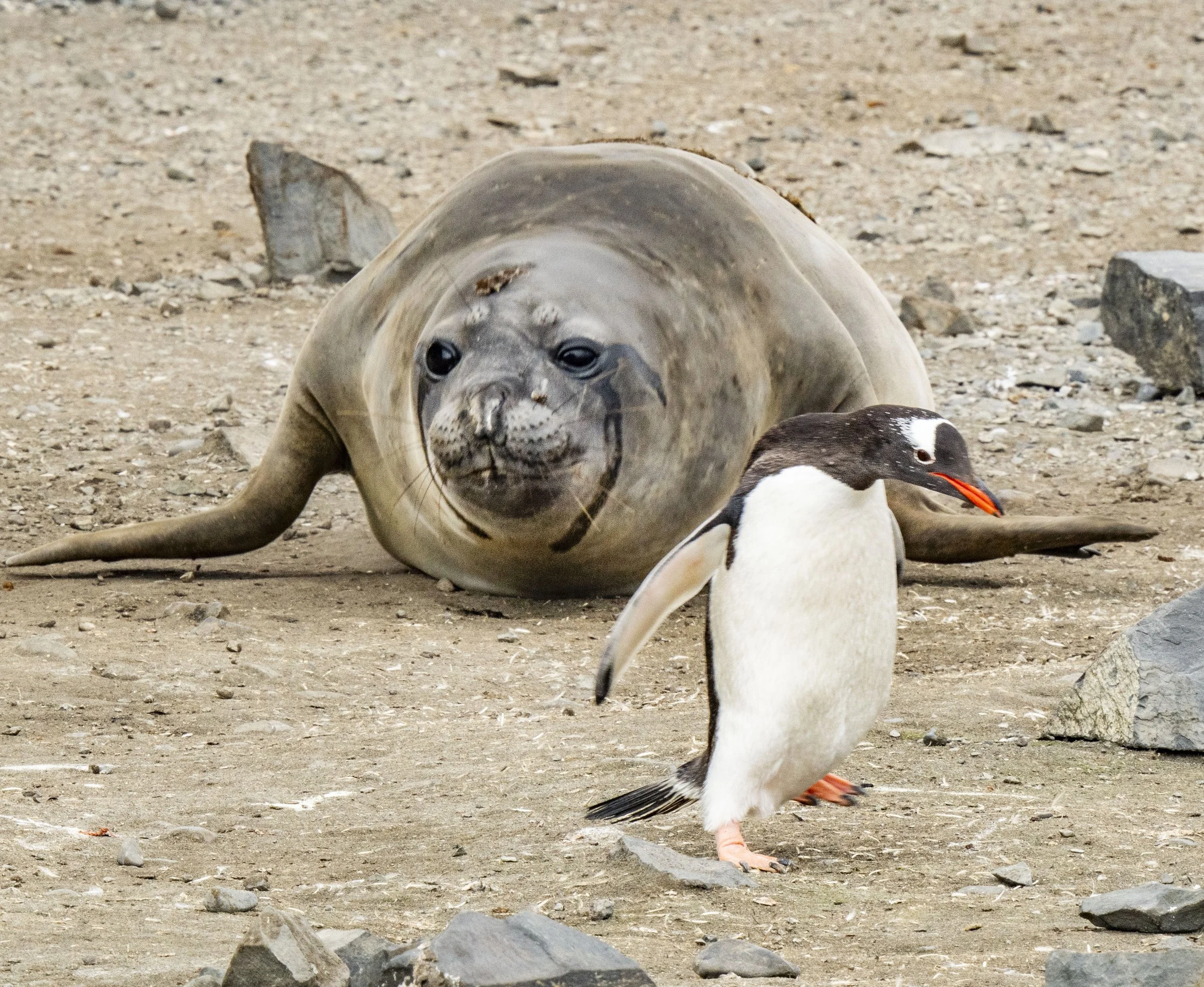 20260116 JP Day 8   0600.jpg