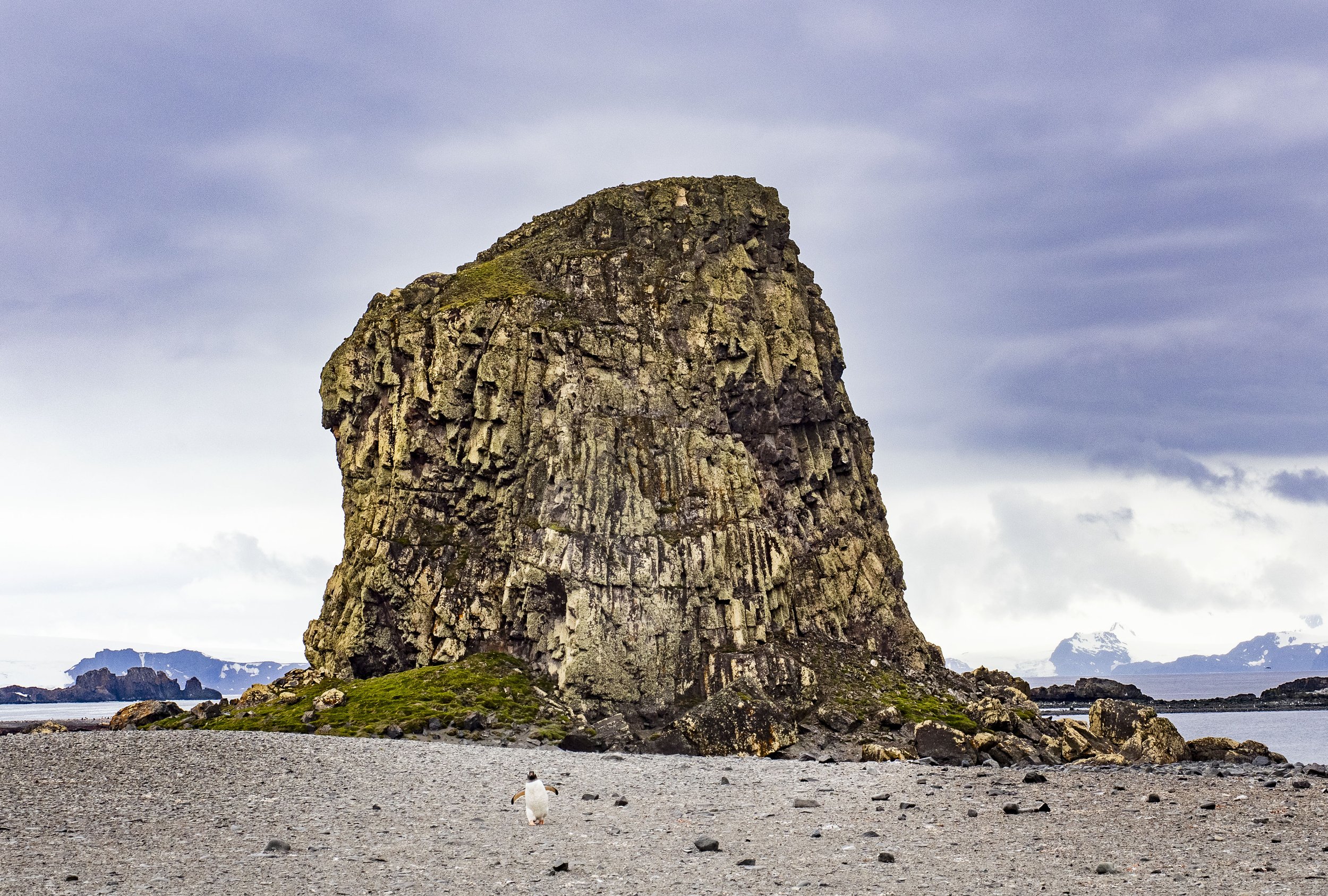 20260116 JP Day 8   0627.jpg