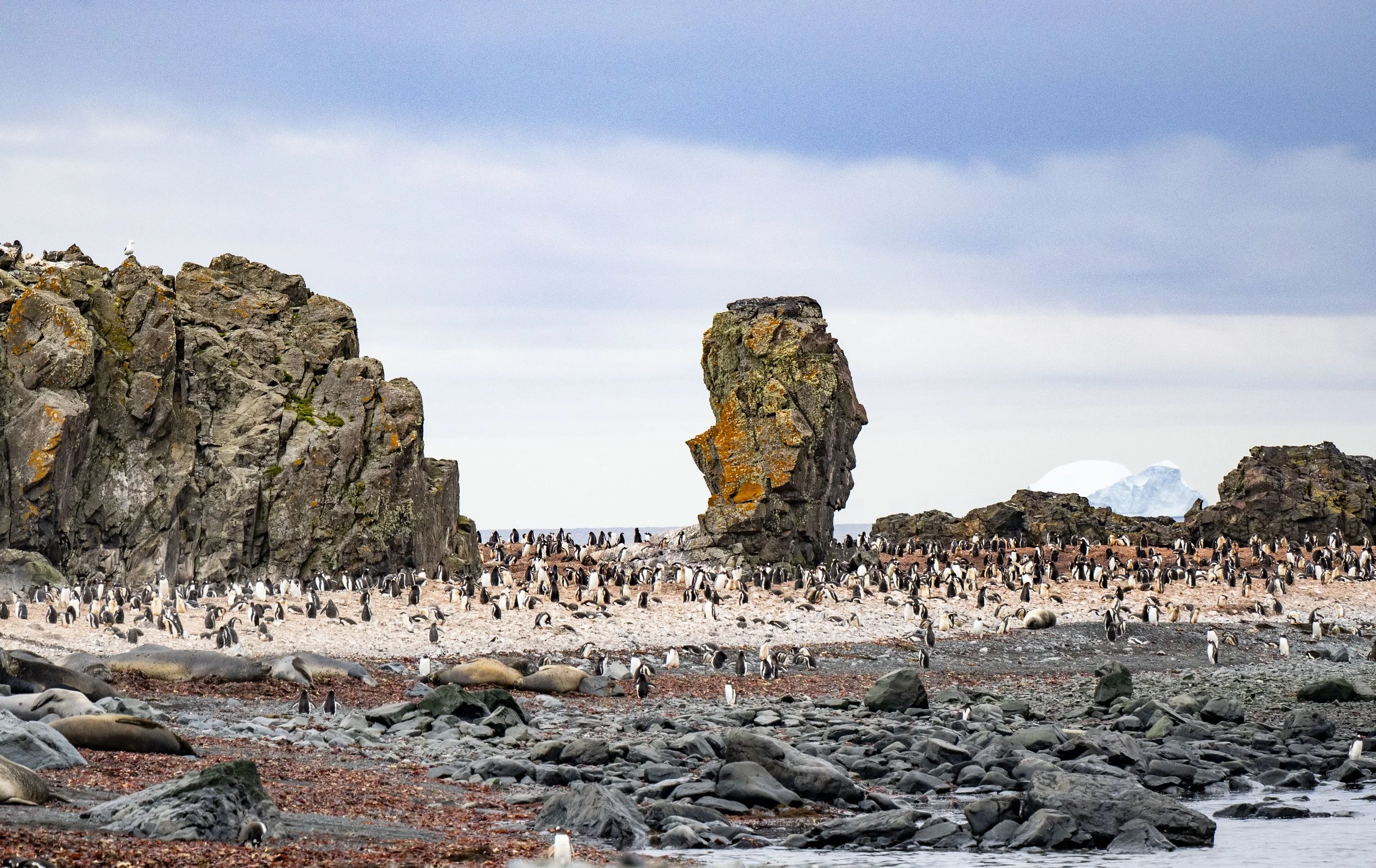 20260116 JP Day 8   0681.jpg