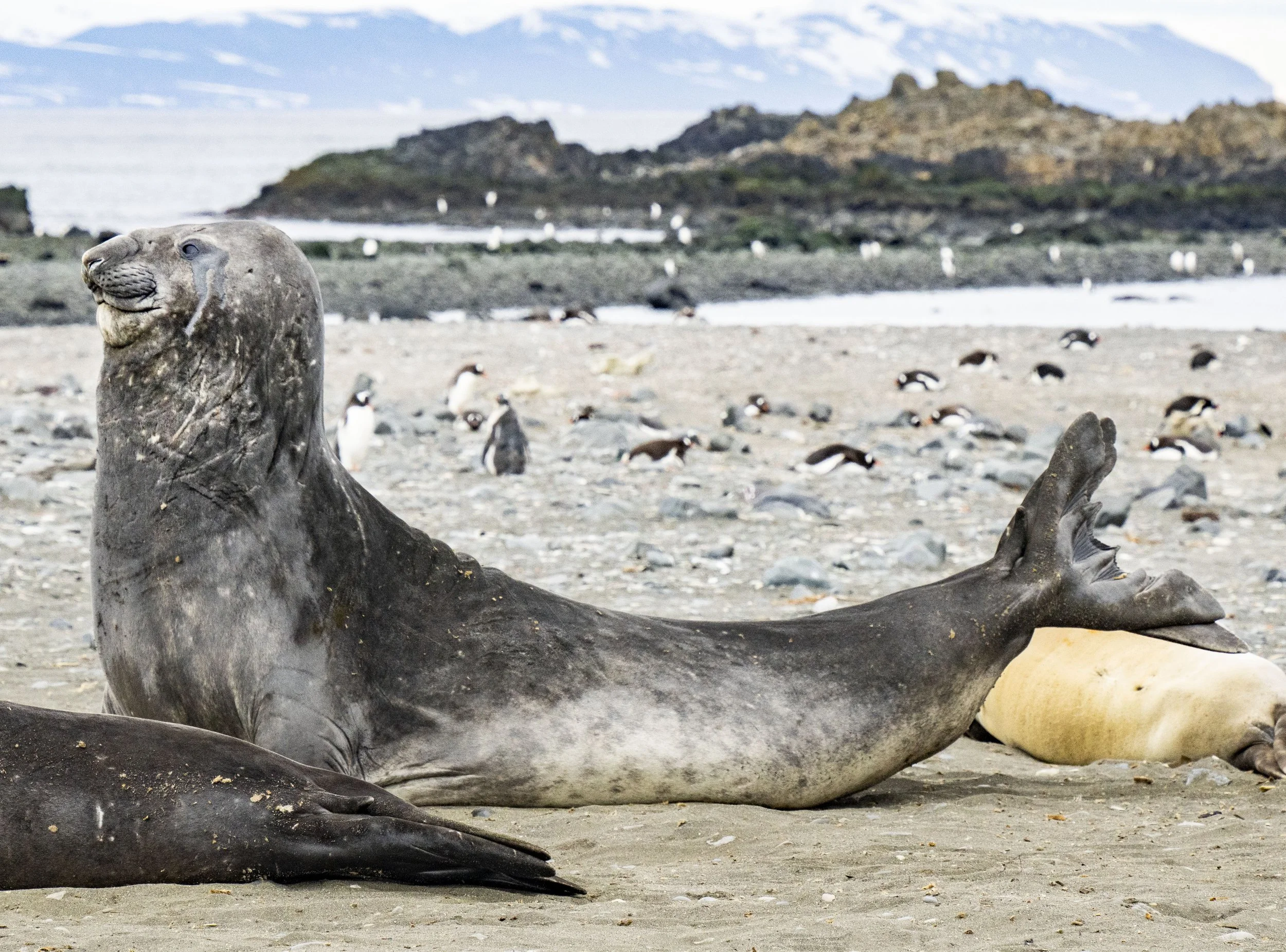 20260116 JP Day 8   0784.jpg