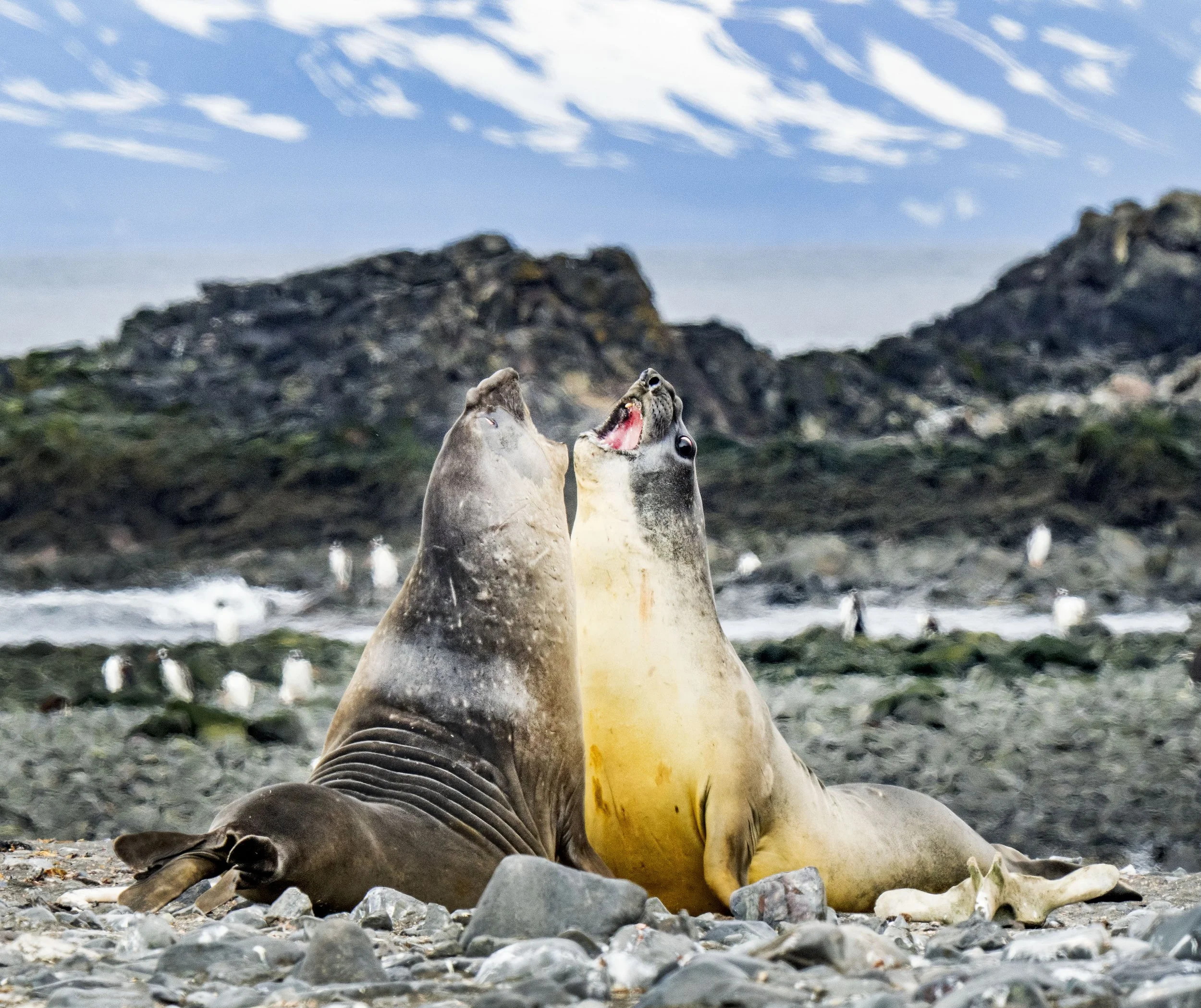 20260116 JP Day 8   0831.jpg