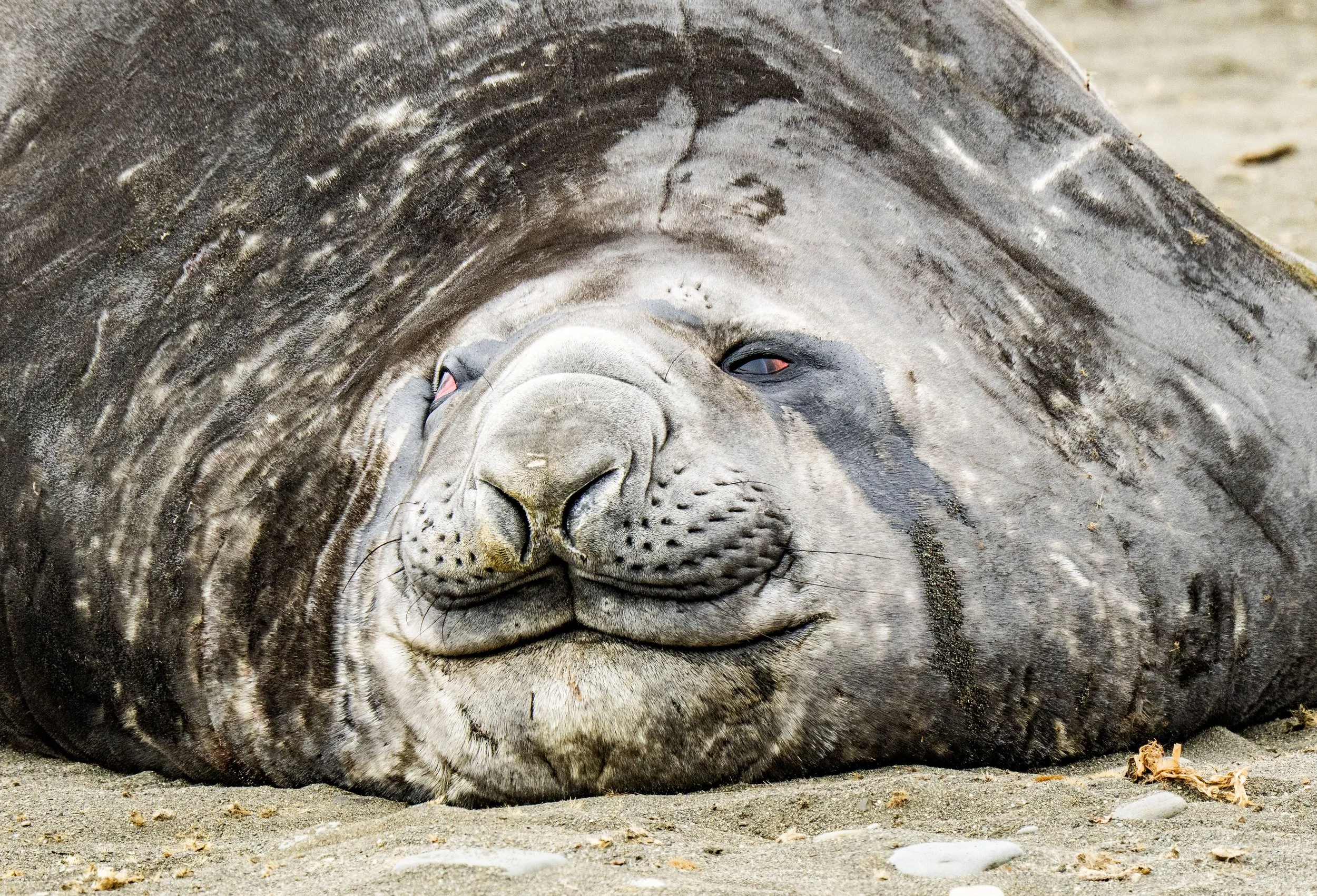 20260116 JP Day 8   0828.jpg