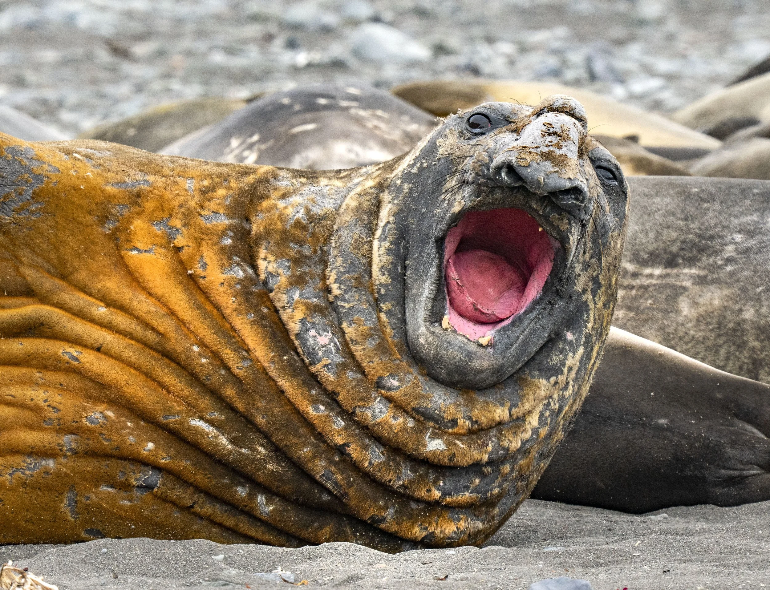 20260116 JP Day 8   1026.jpg