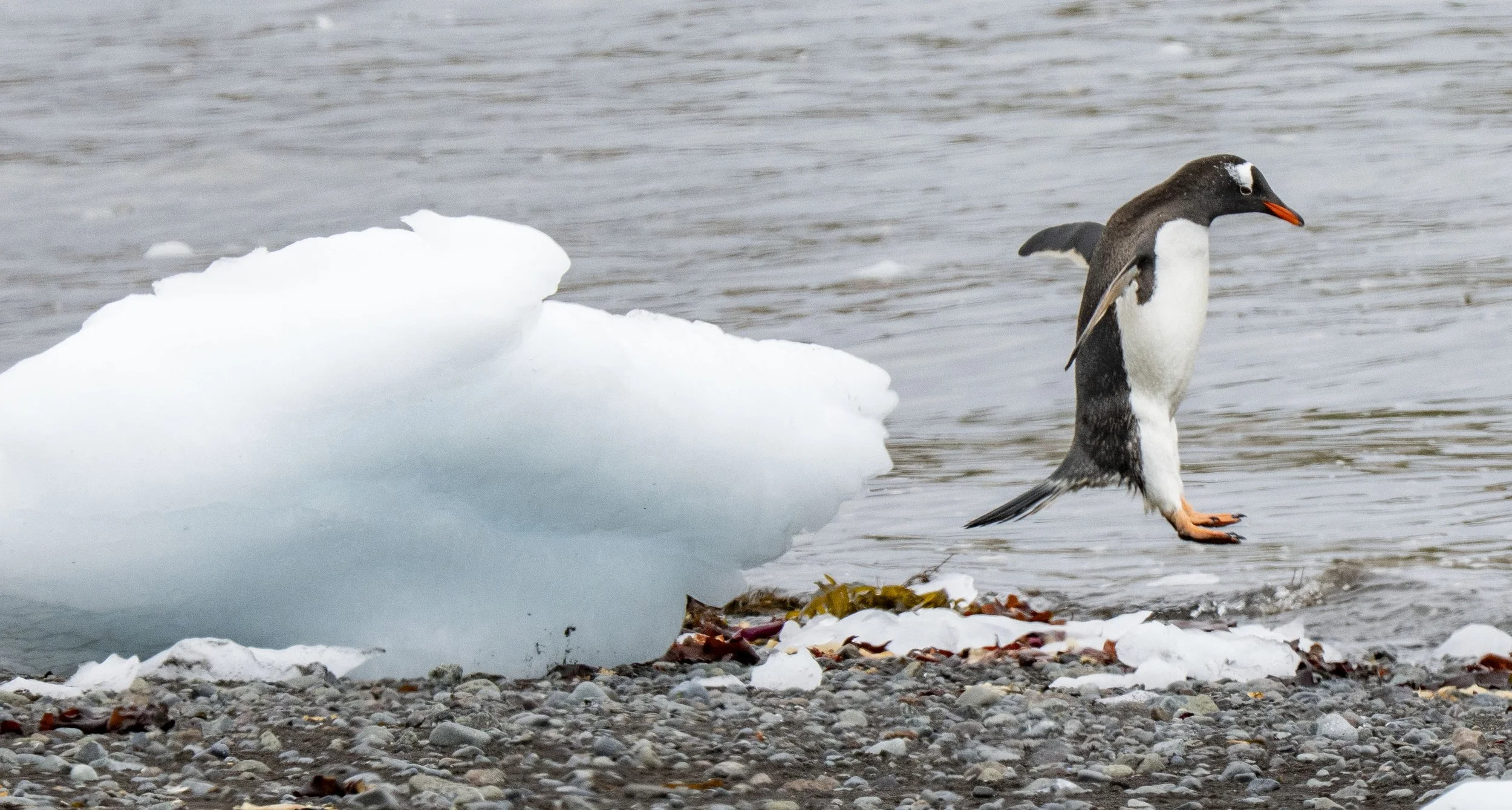 20260116 JP Day 8   1078.jpg