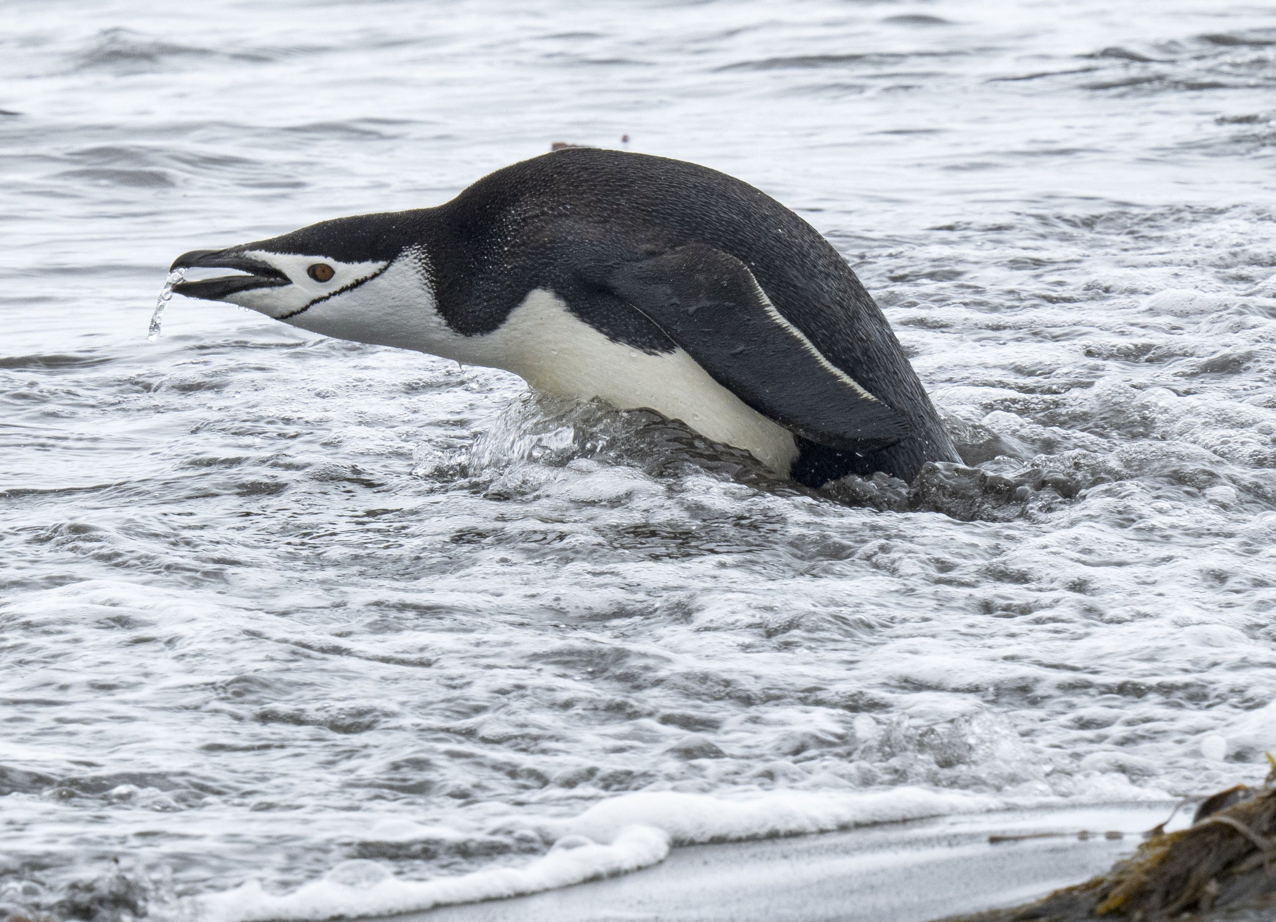 20260116 JP Day 8   1132.jpg