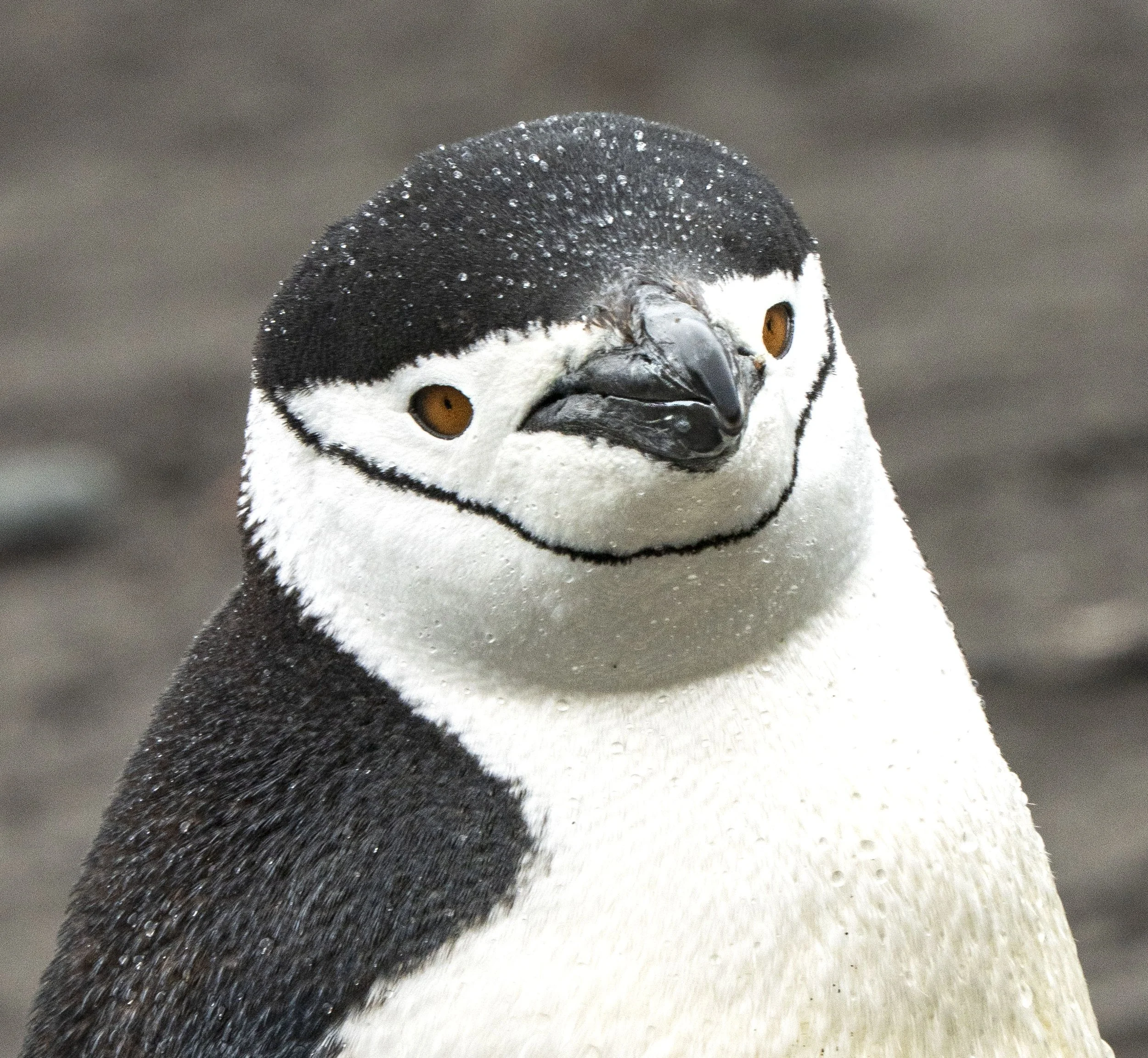 20260116 JP Day 8   1160.jpg