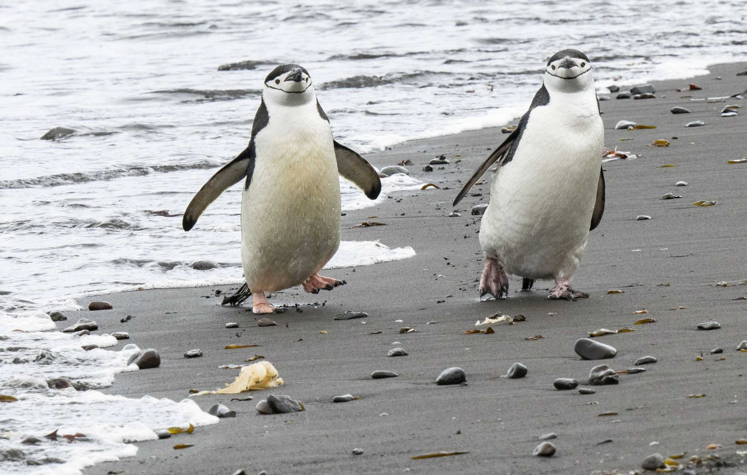 20260116 JP Day 8   1144.jpg