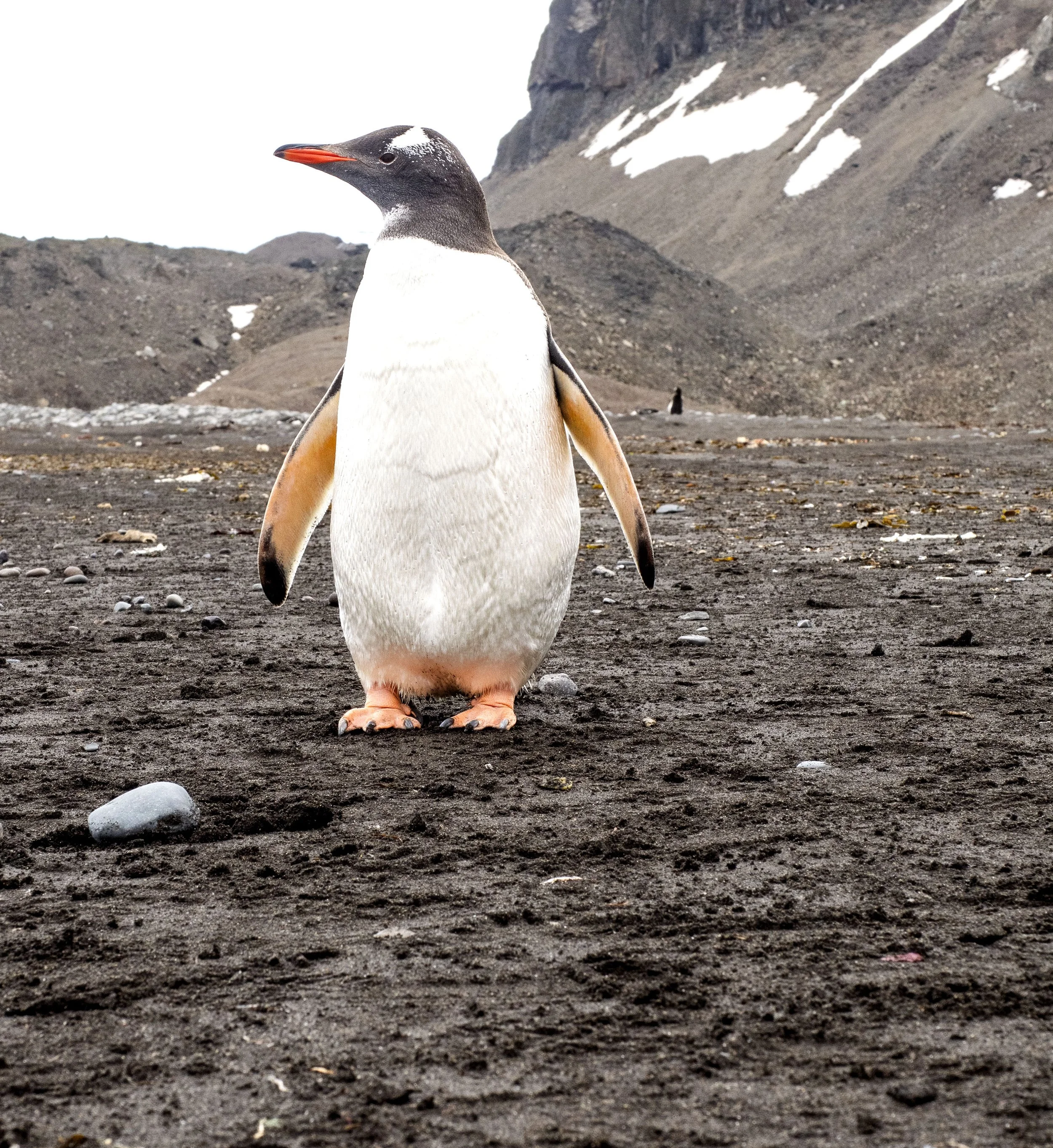 20260116 JP Day 8   1245.jpg