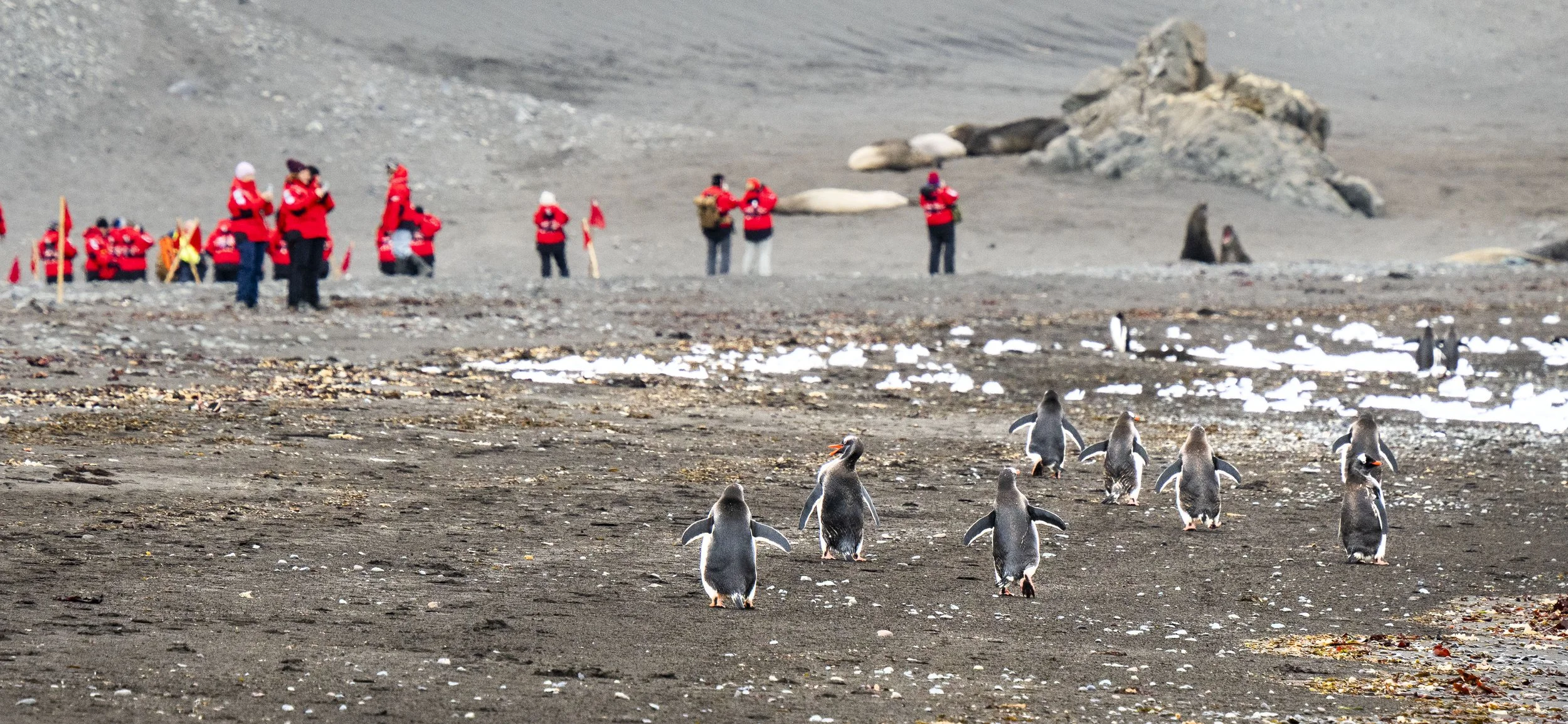 20260116 JP Day 8   1278.jpg