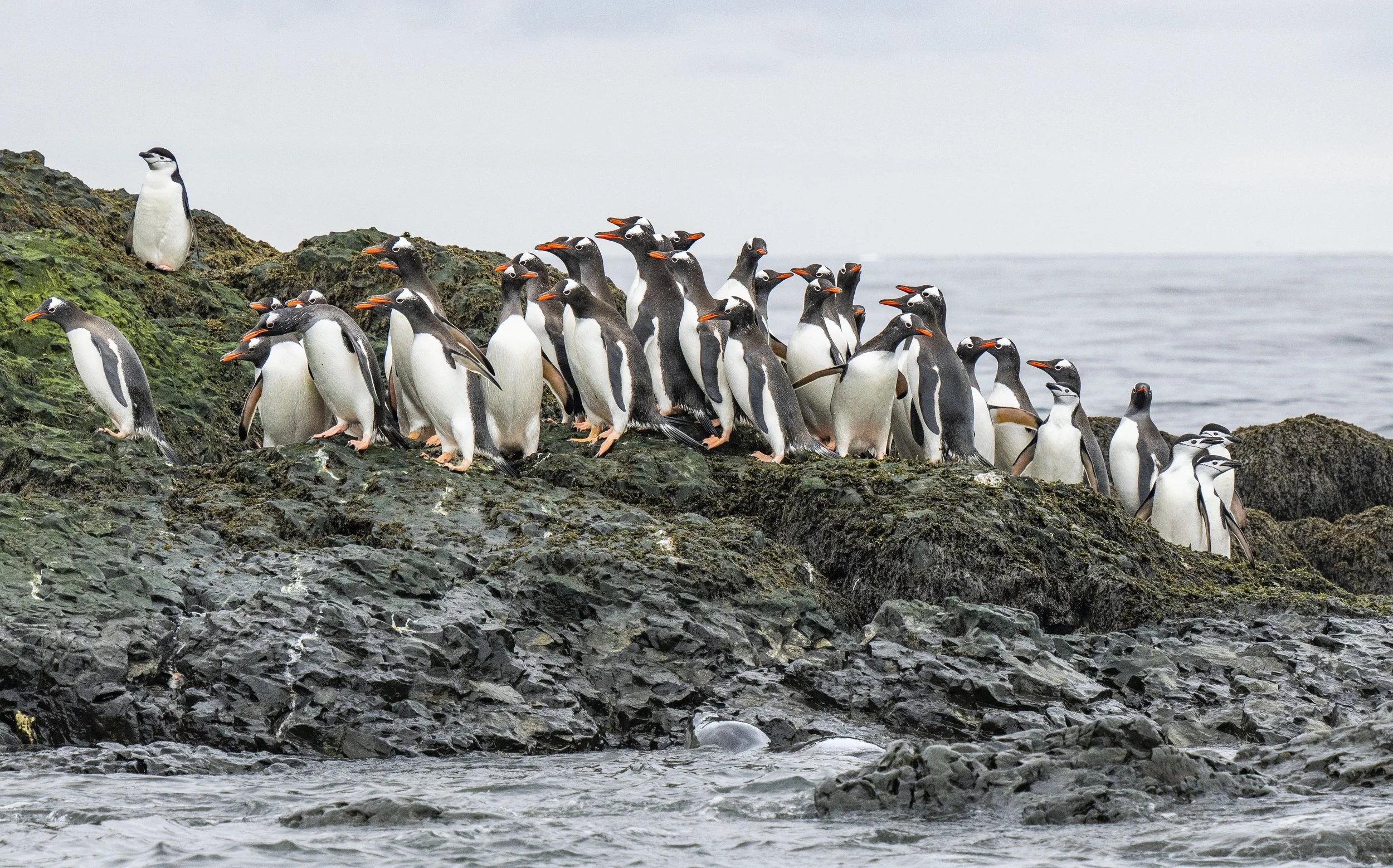 20260116 JP Day 8   1425.jpg