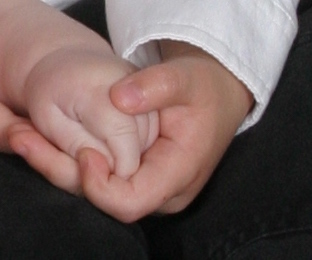IMG_0057 crop.jpeg