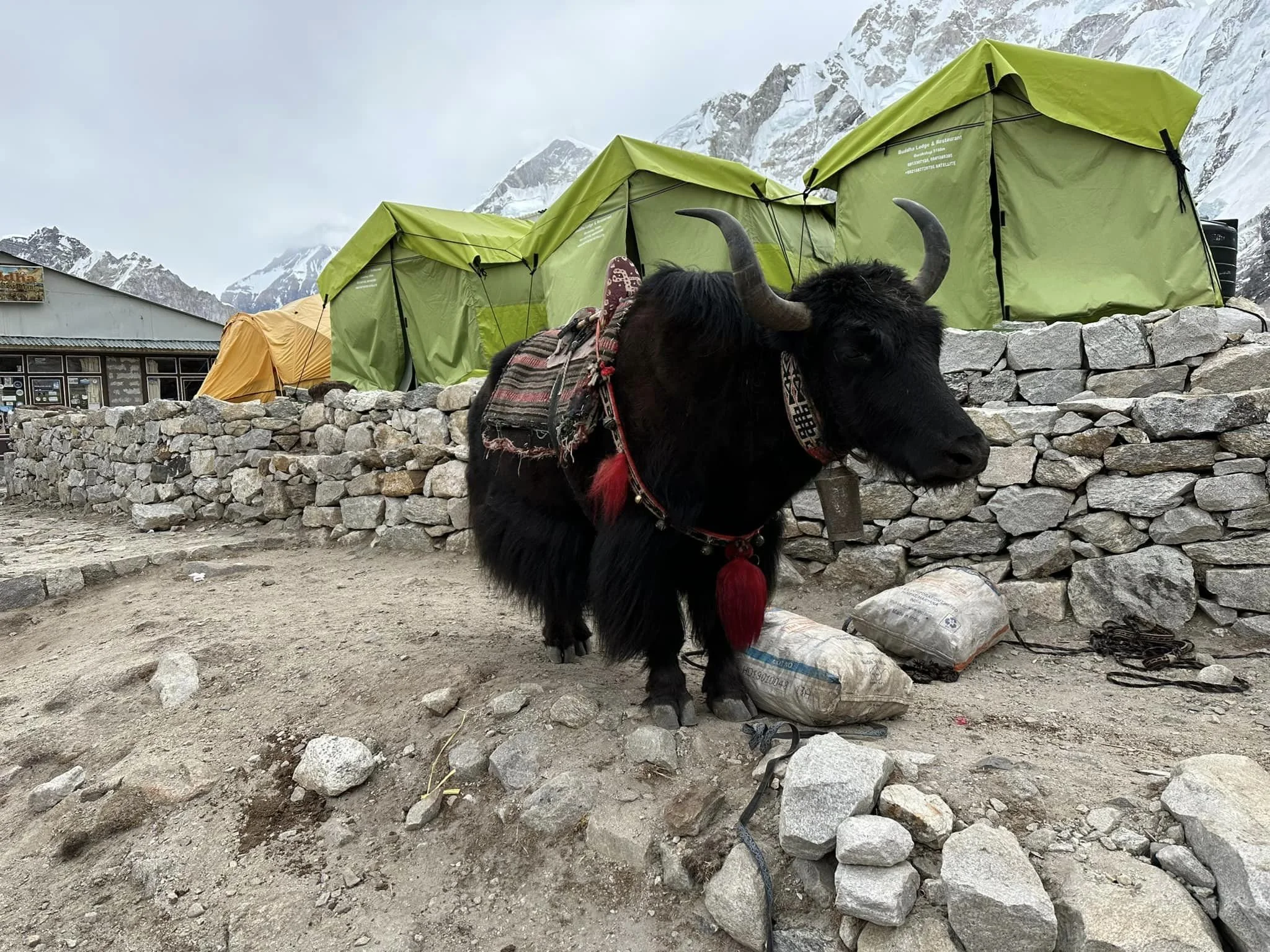 Everest Base Camp Rest Day 2