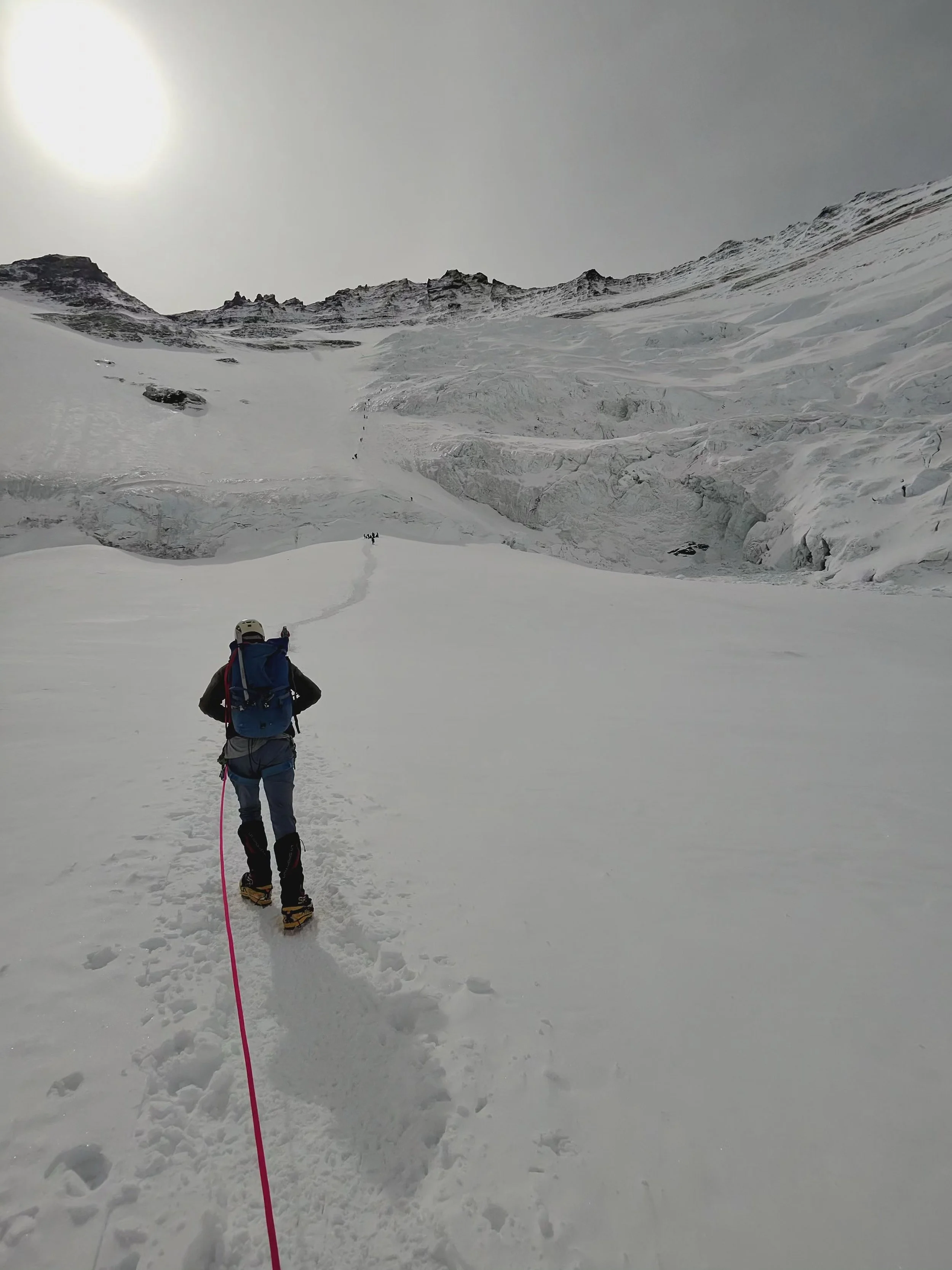 Training, Trust, and Safe Choices