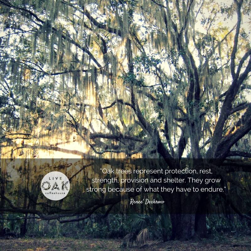 Oak trees represent protection, rest, strength, provision and shelter. They are strong because of what they have to endure. Renee Deckrow