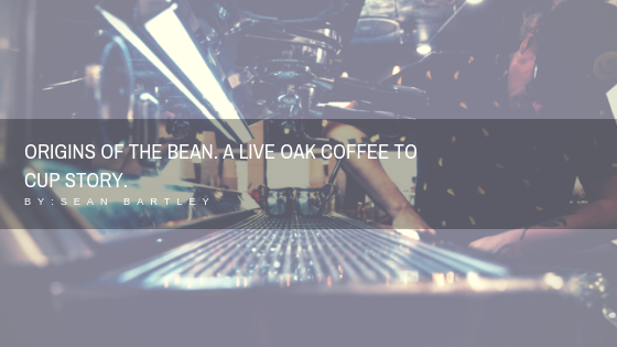 Origins Of The Bean. A Live oak coffee to cup story. by _ Sean Bartley.png