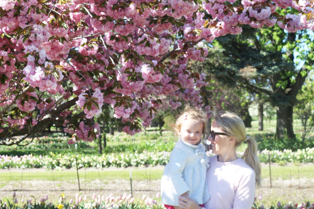 Tulip Time Festival So Dressed Up