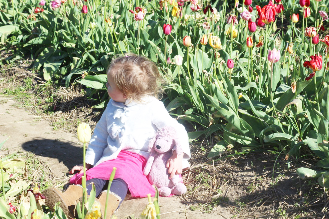Tulip Time Festival So Dressed Up