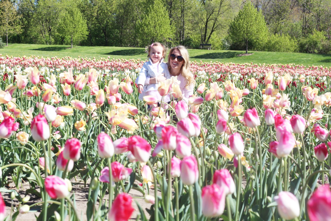 Tulip Festival, Windmill Island Gardens, So Dressed Up
