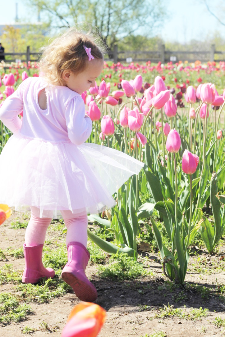 Tulip Festival, Windmill Island Gardens, So Dressed Up