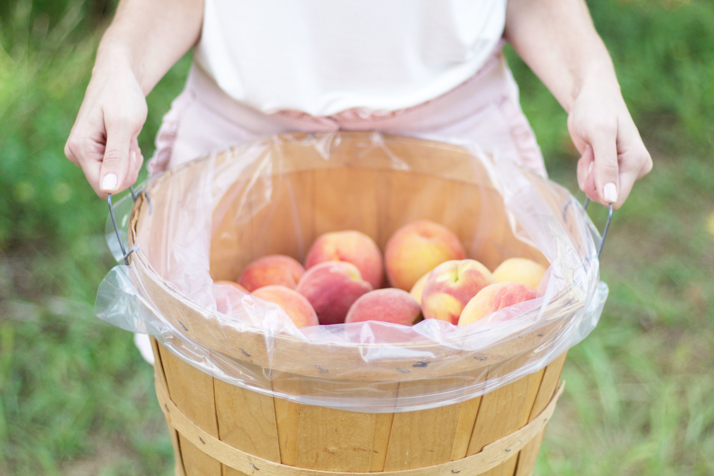 Peach Picking So Dressed Up