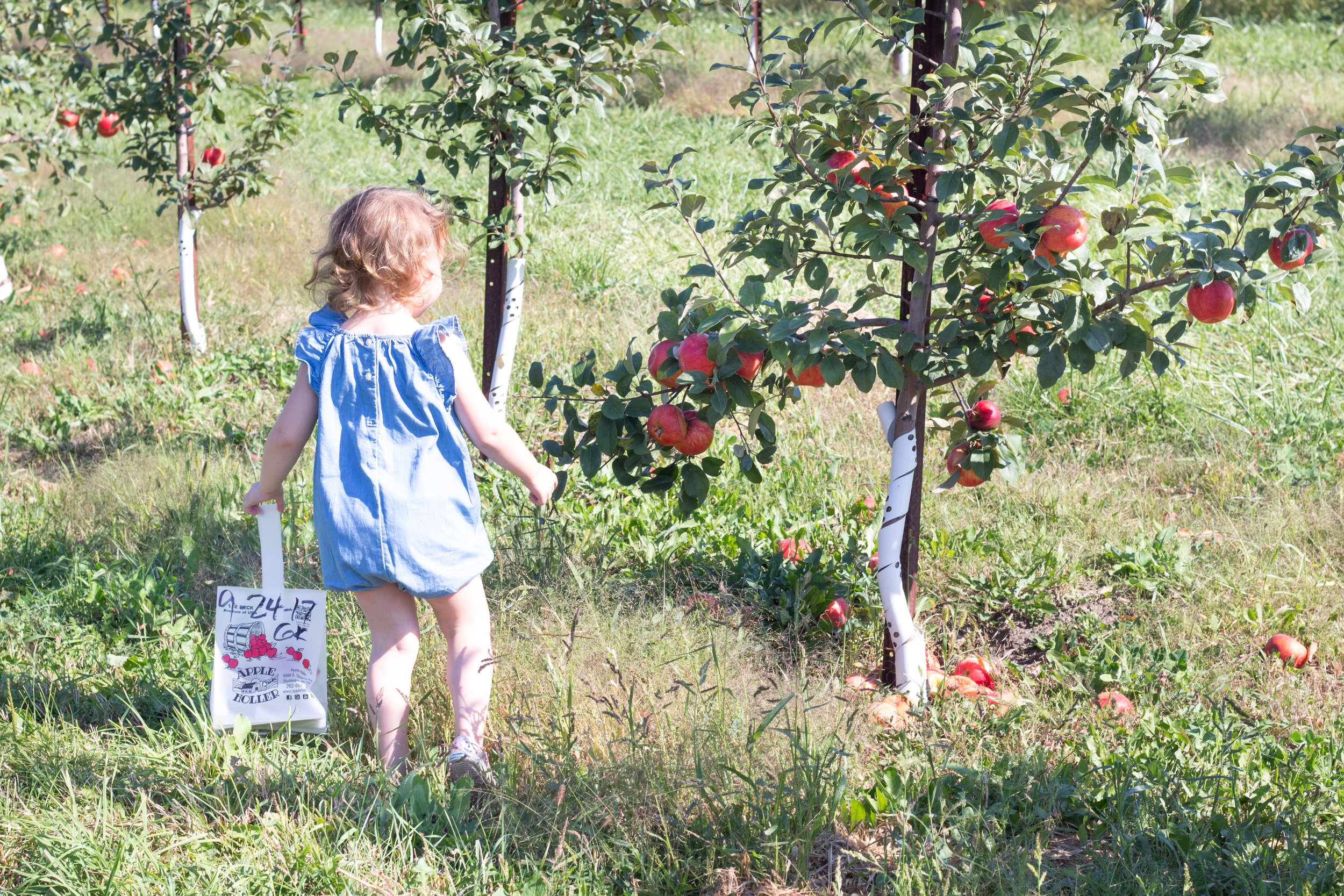 So Dressed Up Apple Picking