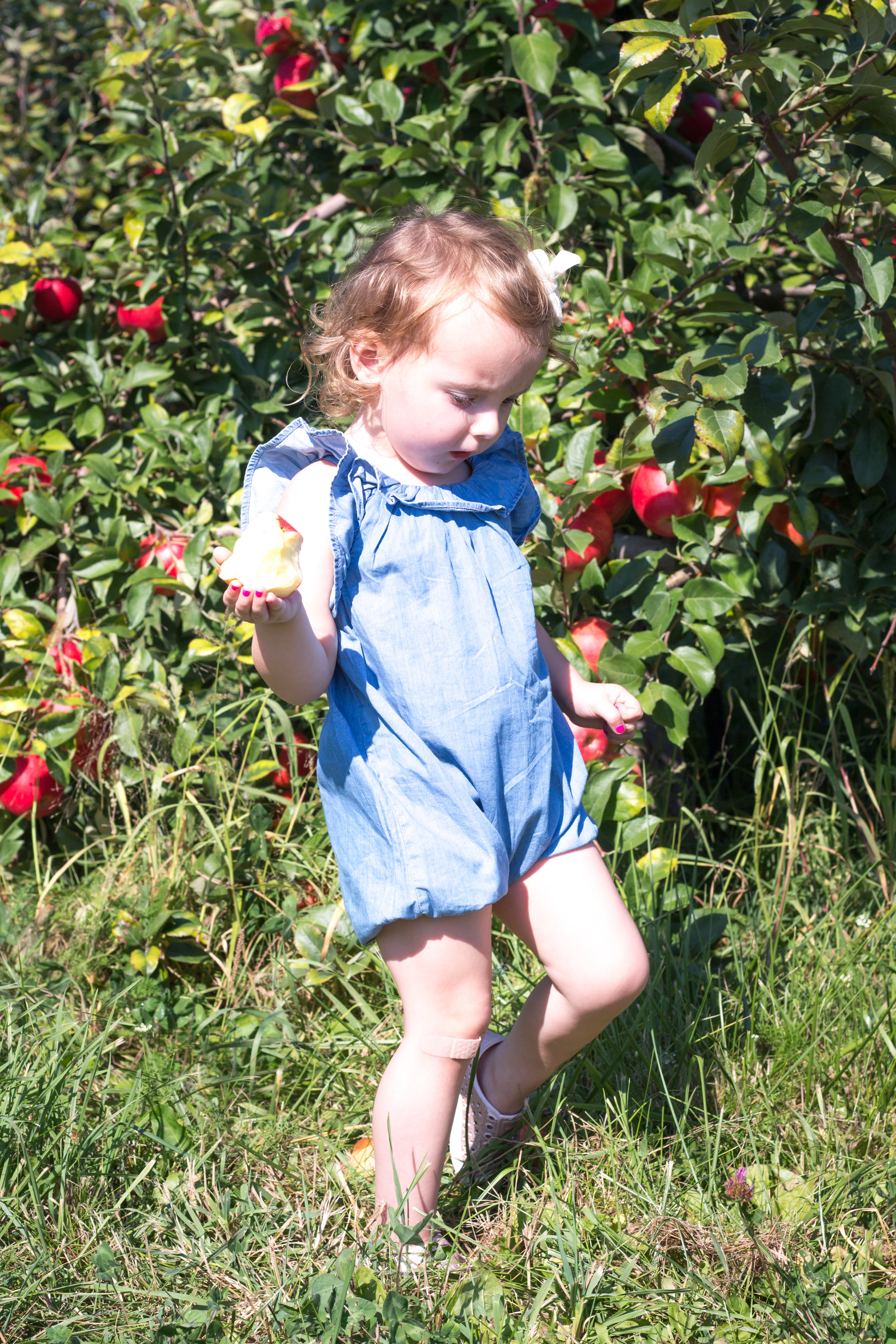 So Dressed Up Apple Picking