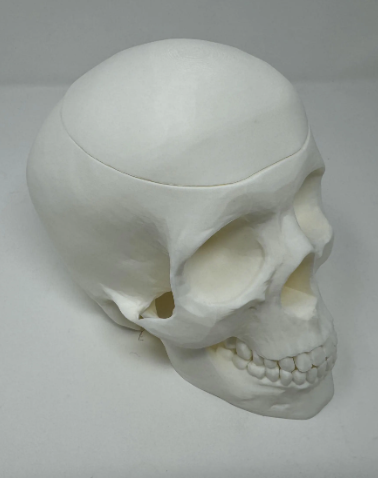 Screen Shot 2025-03-06 at 3.20.28 PM.png