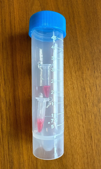 Screen Shot 2025-02-13 at 5.28.49 PM.png