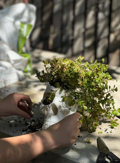 Screen Shot 2025-02-13 at 5.07.41 PM.png