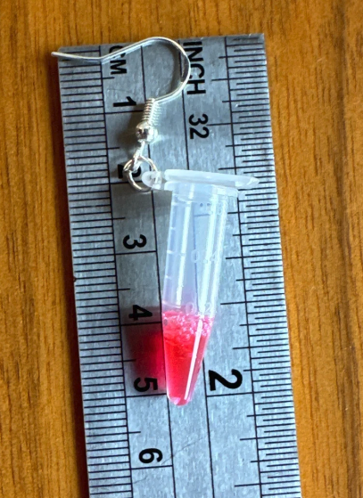 Screen Shot 2025-02-13 at 5.28.25 PM.png