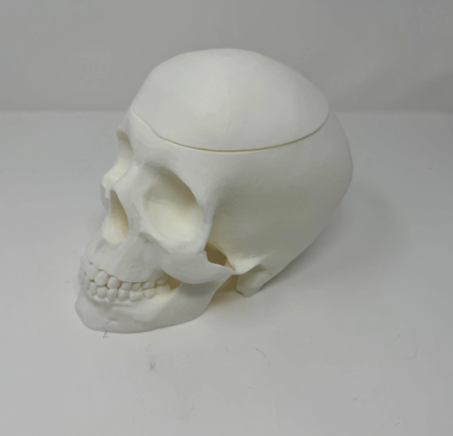 Screen Shot 2025-03-06 at 3.20.23 PM.png