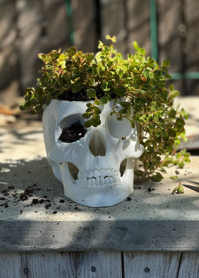 Screen Shot 2025-02-13 at 5.07.25 PM.png