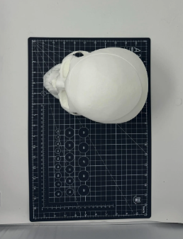 Screen Shot 2025-03-06 at 3.20.40 PM.png