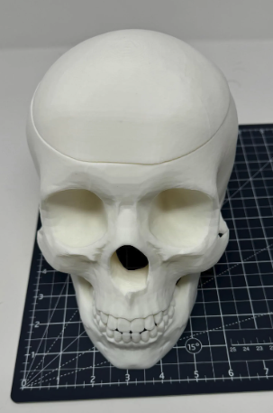 Screen Shot 2025-03-06 at 3.20.34 PM.png