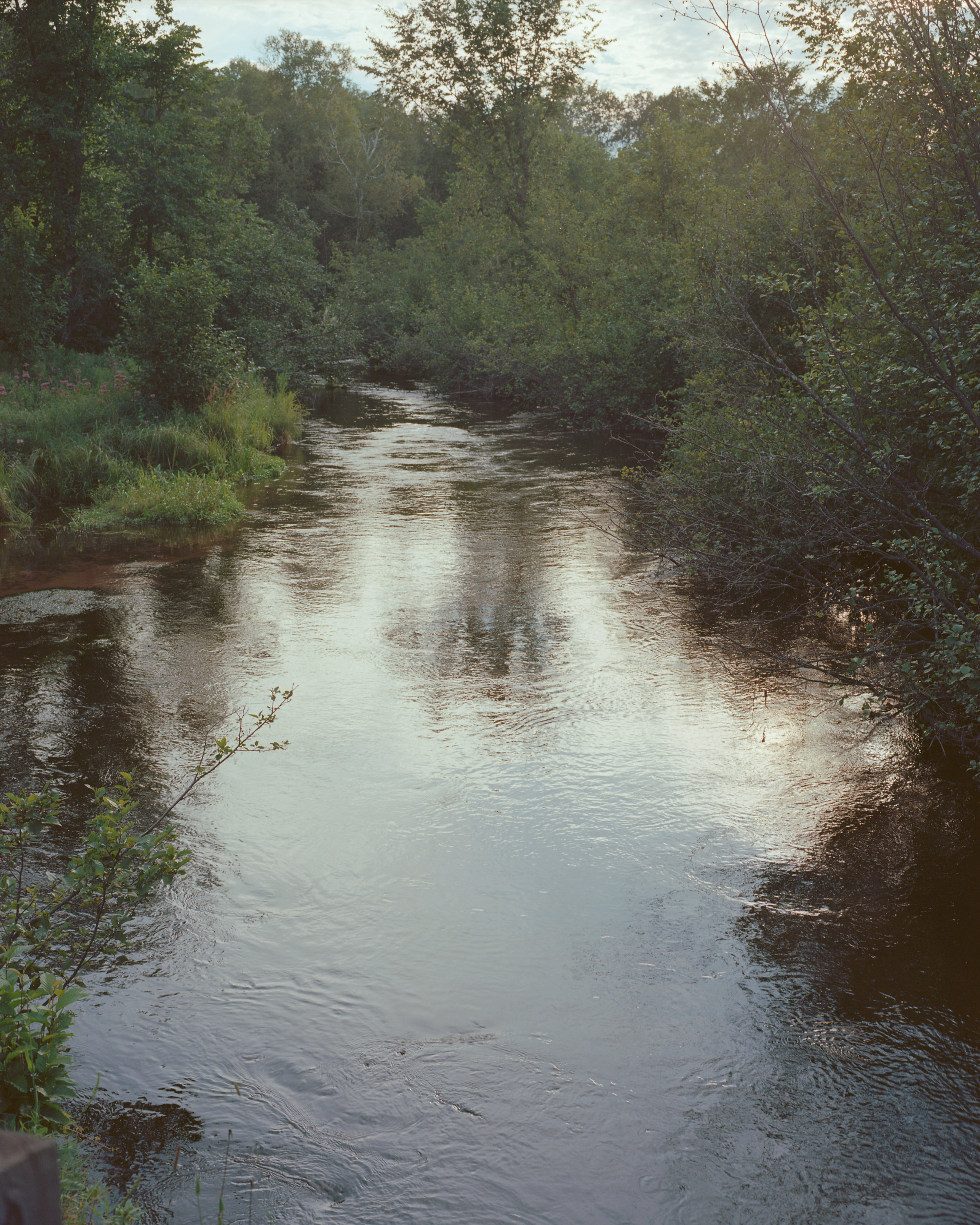Pike Creek where my grandmother used to go fly fishing with her father