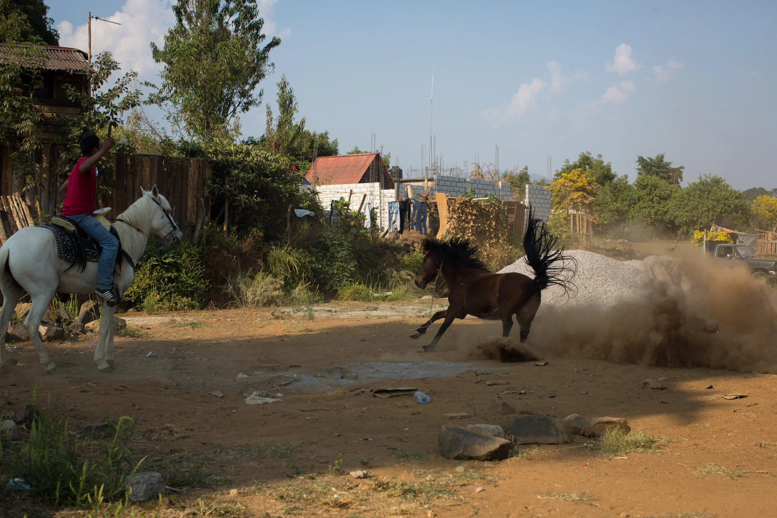 CABALLO TLATEMPA2.JPG