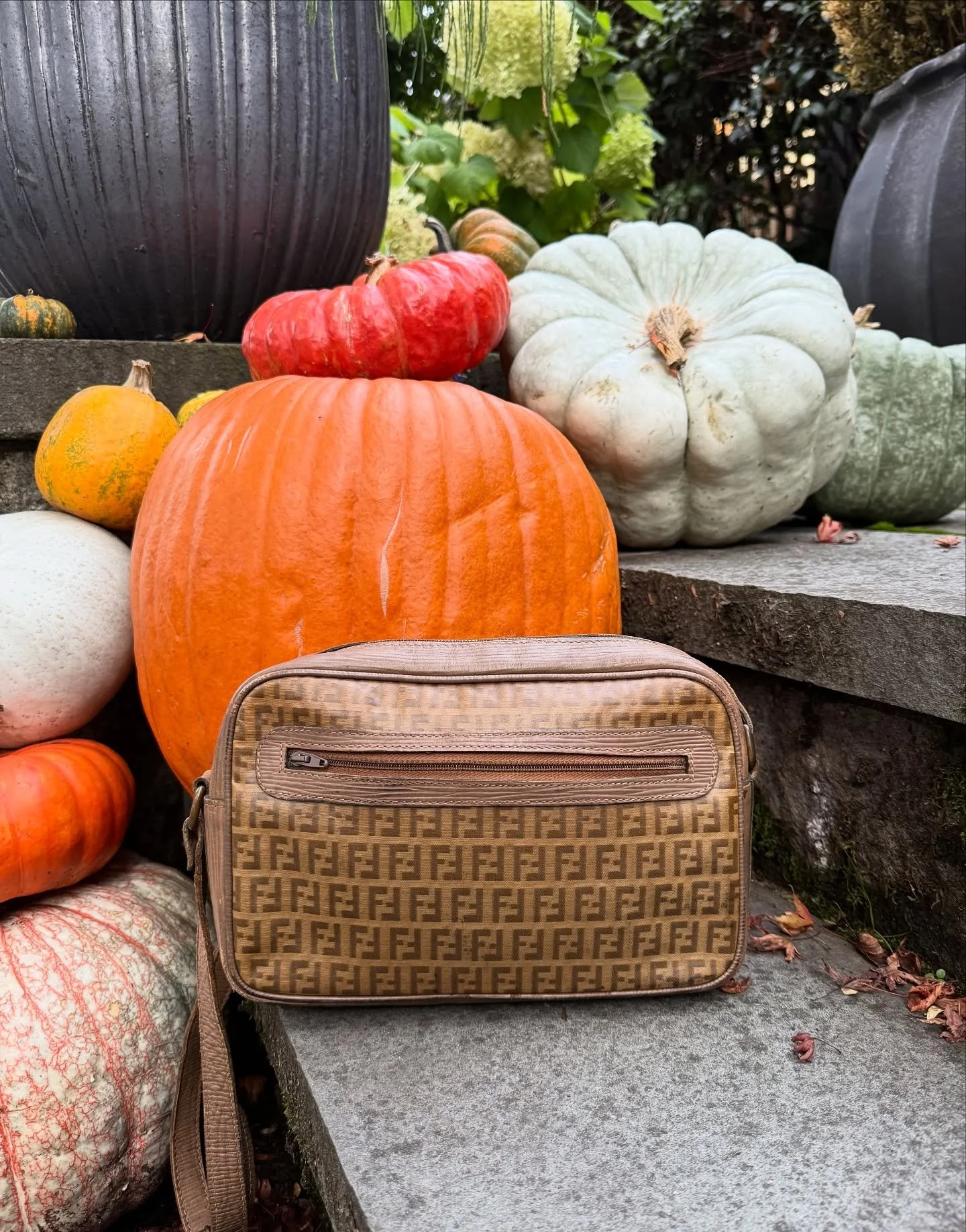 Vintage Fendi Crossbody 🍂

#fendi #luxury #handbag #vintage #designer #resale #shop #rcb #consignment #fall #fashion