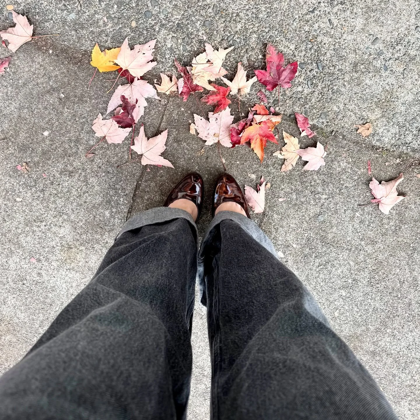 Sunny November days and Stuart Weitzman pumps 🍂 

#ootd #fall #fashion #outfitdujour #shop #rcb #style #inspo