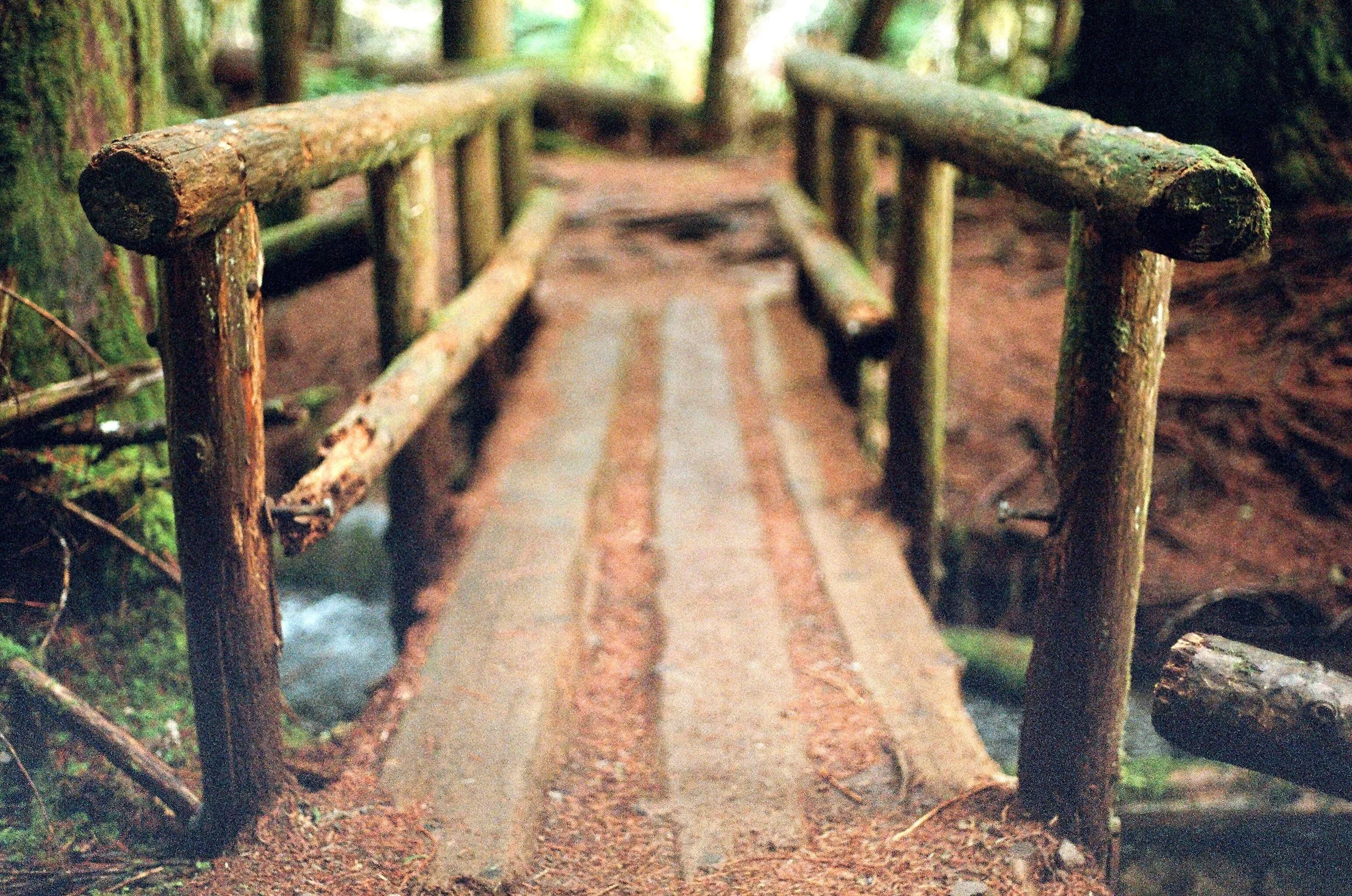 47250025.jpg