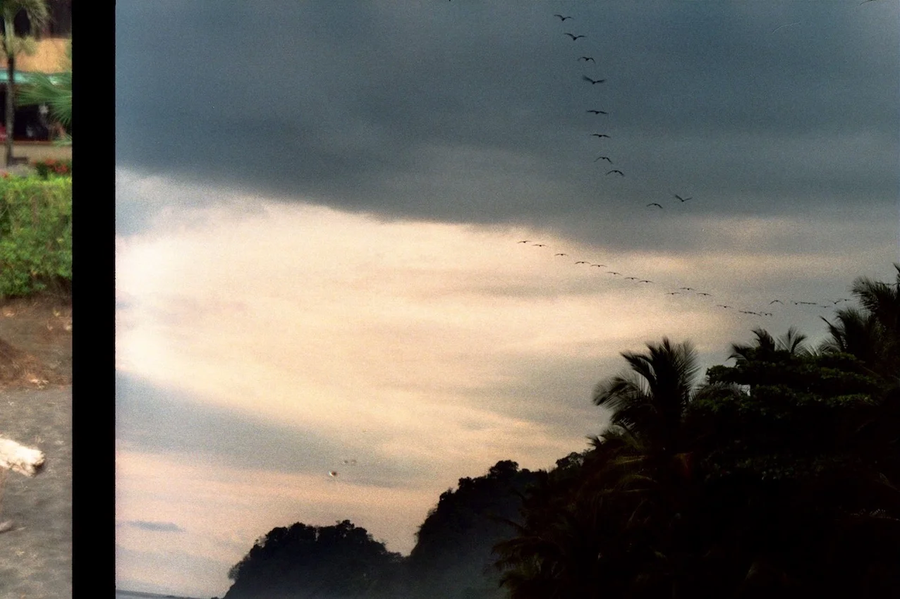 013_12A_2.jpg