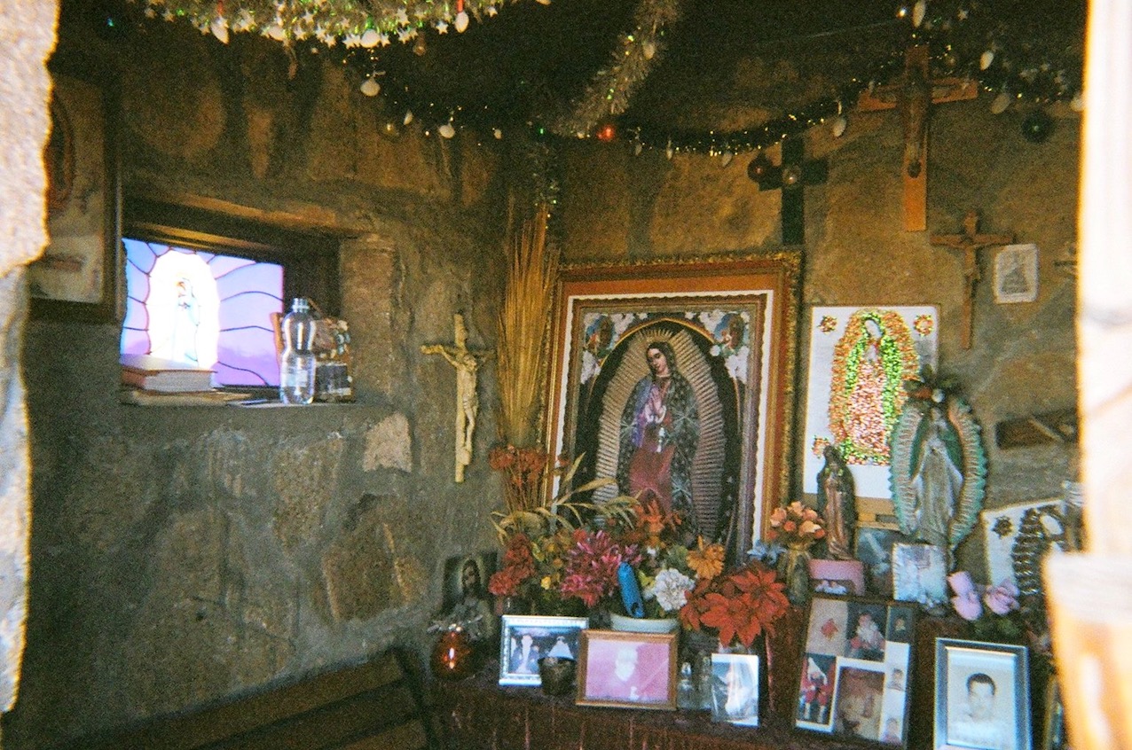 50450021.jpg